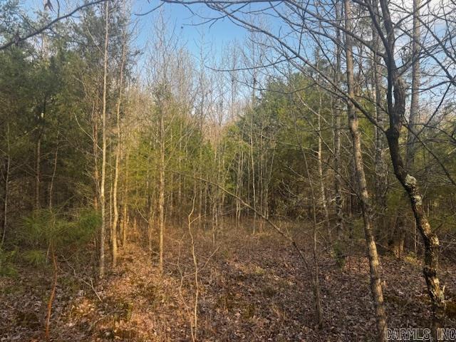 2110 Hoelscher Lane Property Photo 21