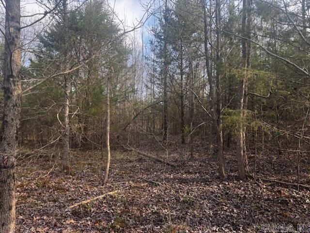 2110 Hoelscher Lane Property Photo 25