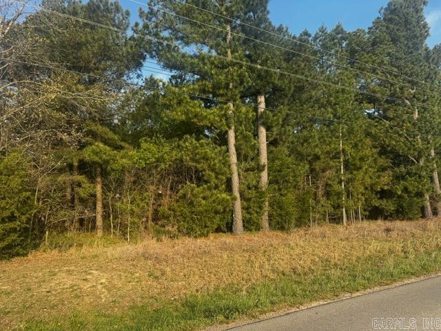 2110 Hoelscher Lane Property Photo 28