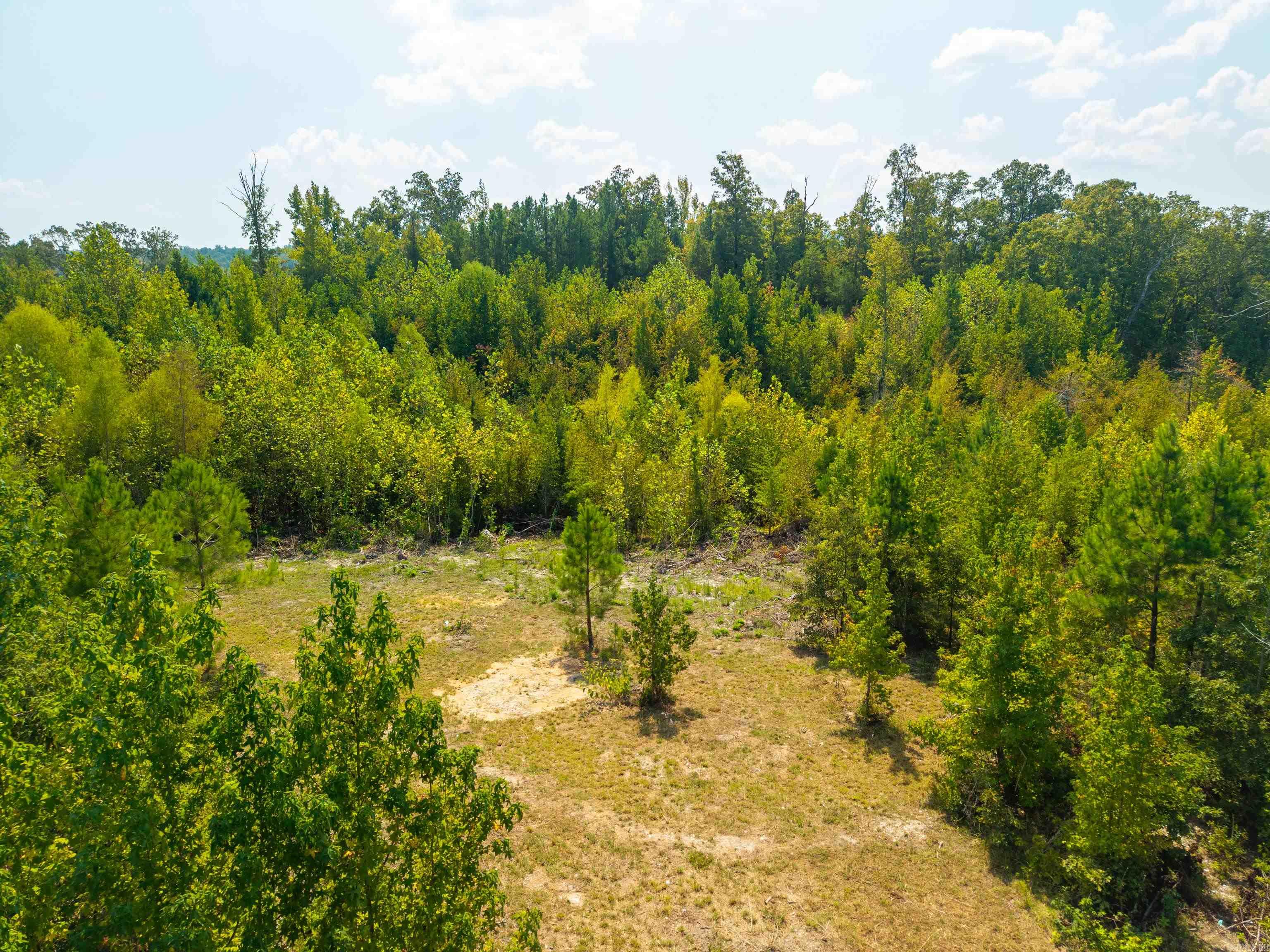 Tbd Groundhog Lane Property Photo 12