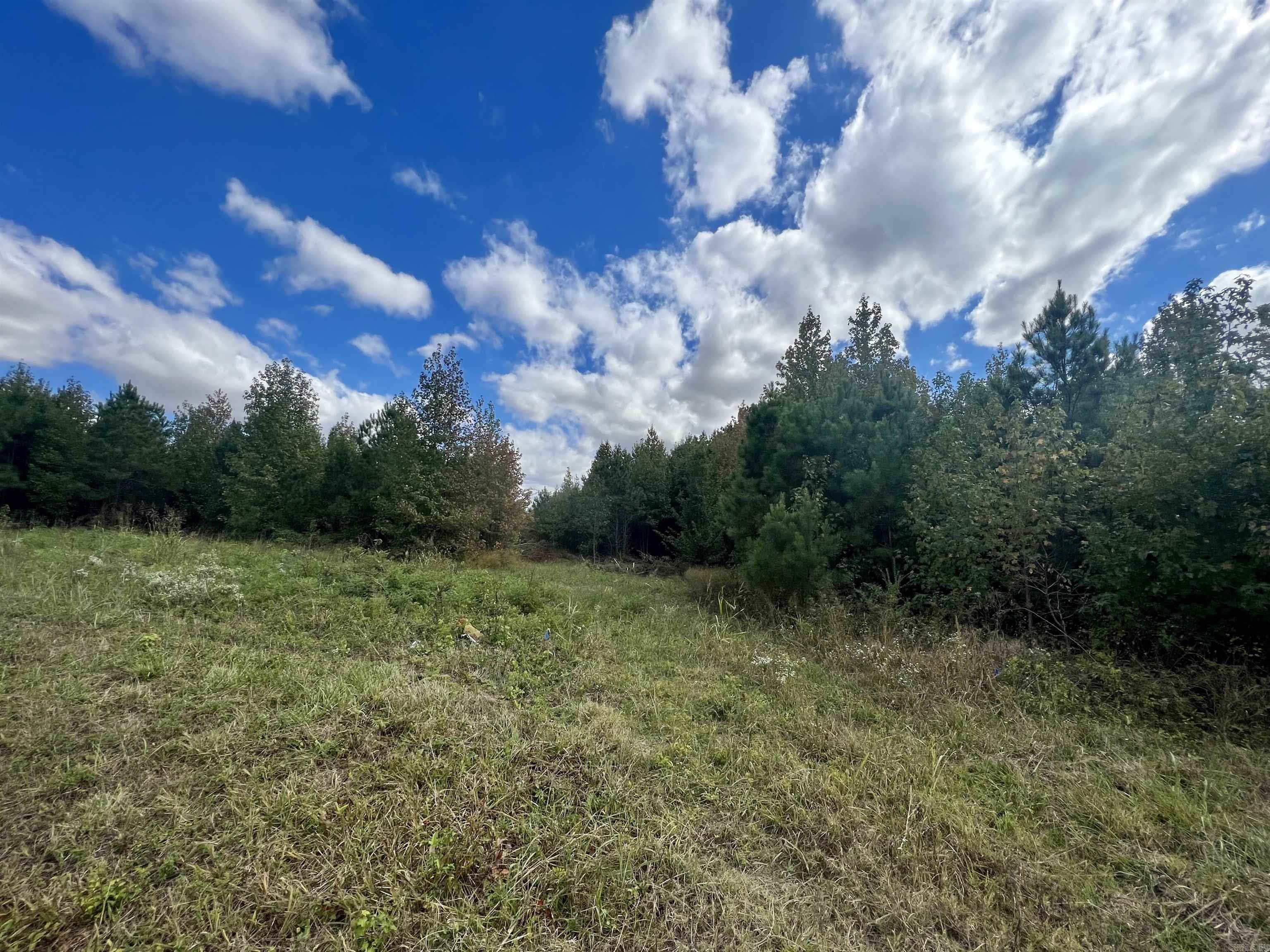 00 Hwy. 49 Property Photo 2