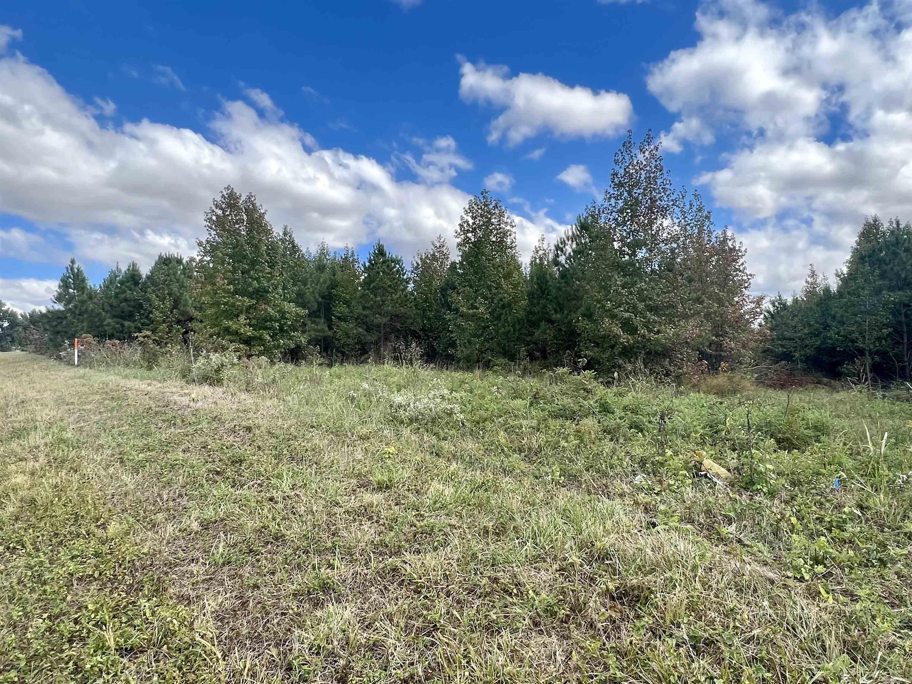 00 Hwy. 49 Property Photo 3