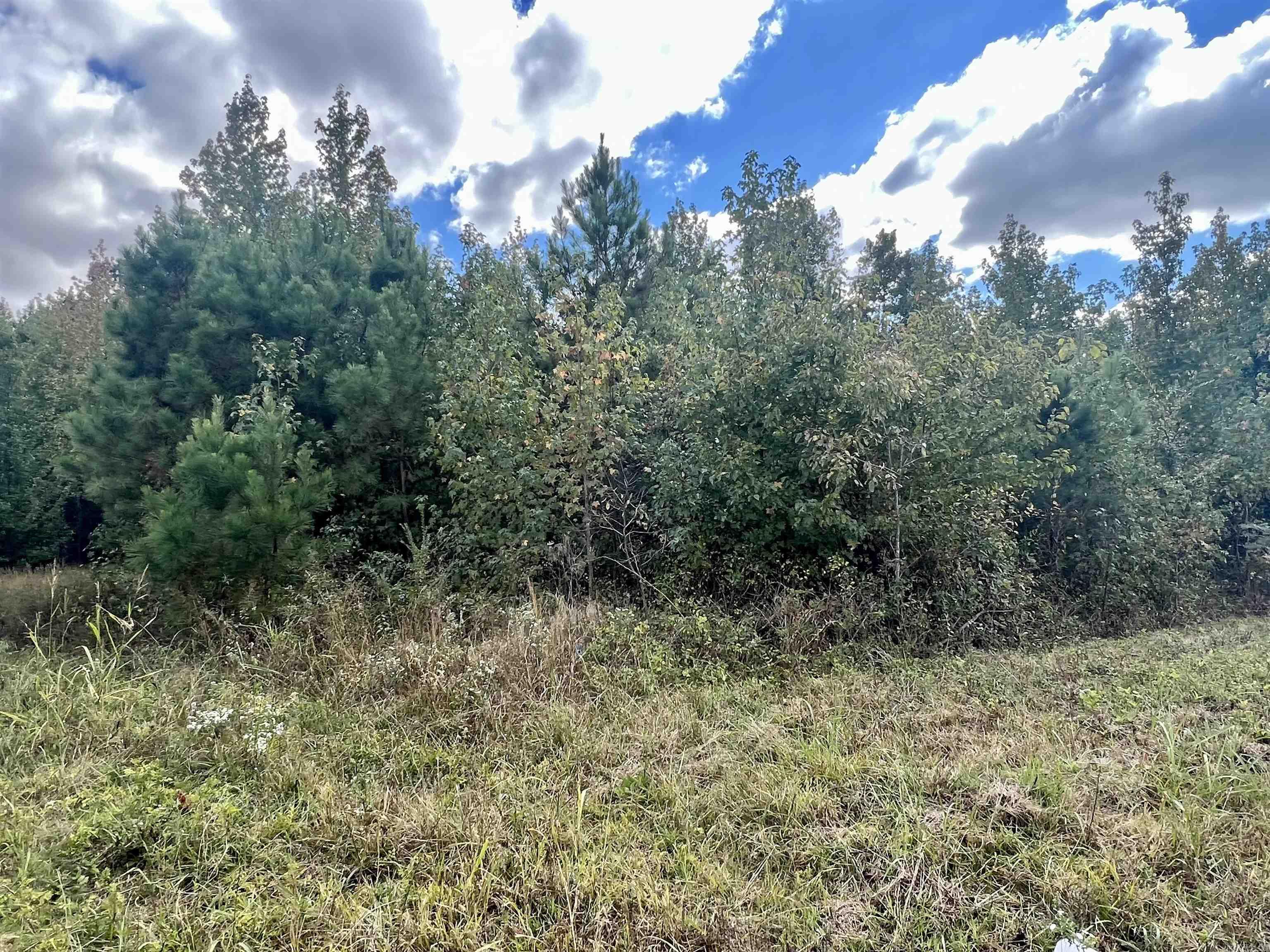 00 Hwy. 49 Property Photo 4