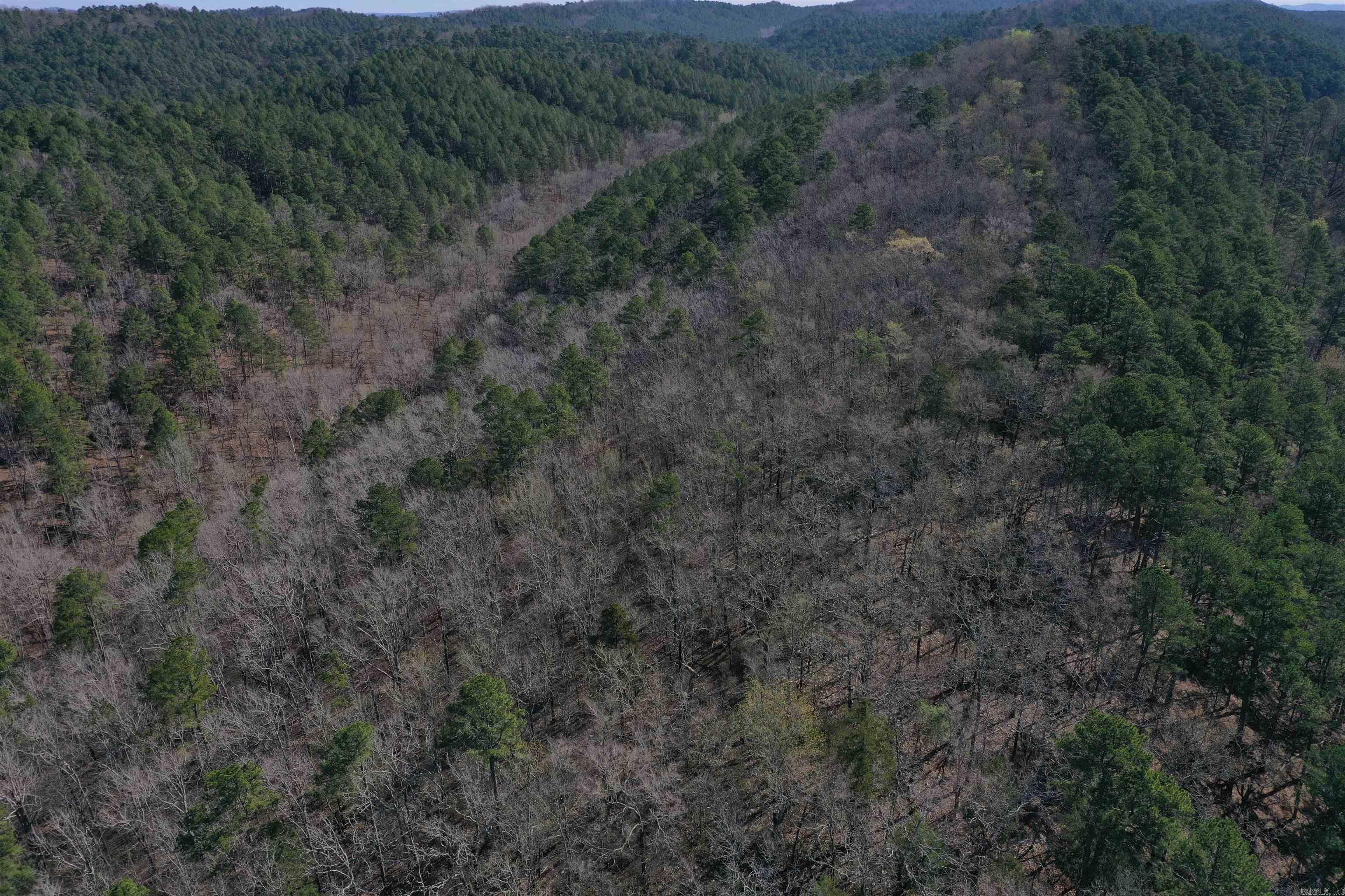 0000 Old Dallas Road Property Photo 5