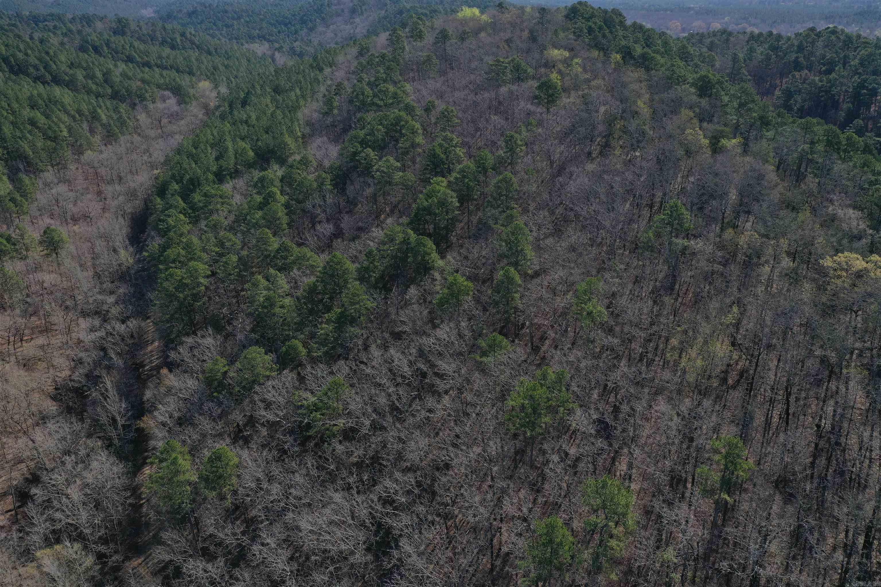 0000 Old Dallas Road Property Photo 8