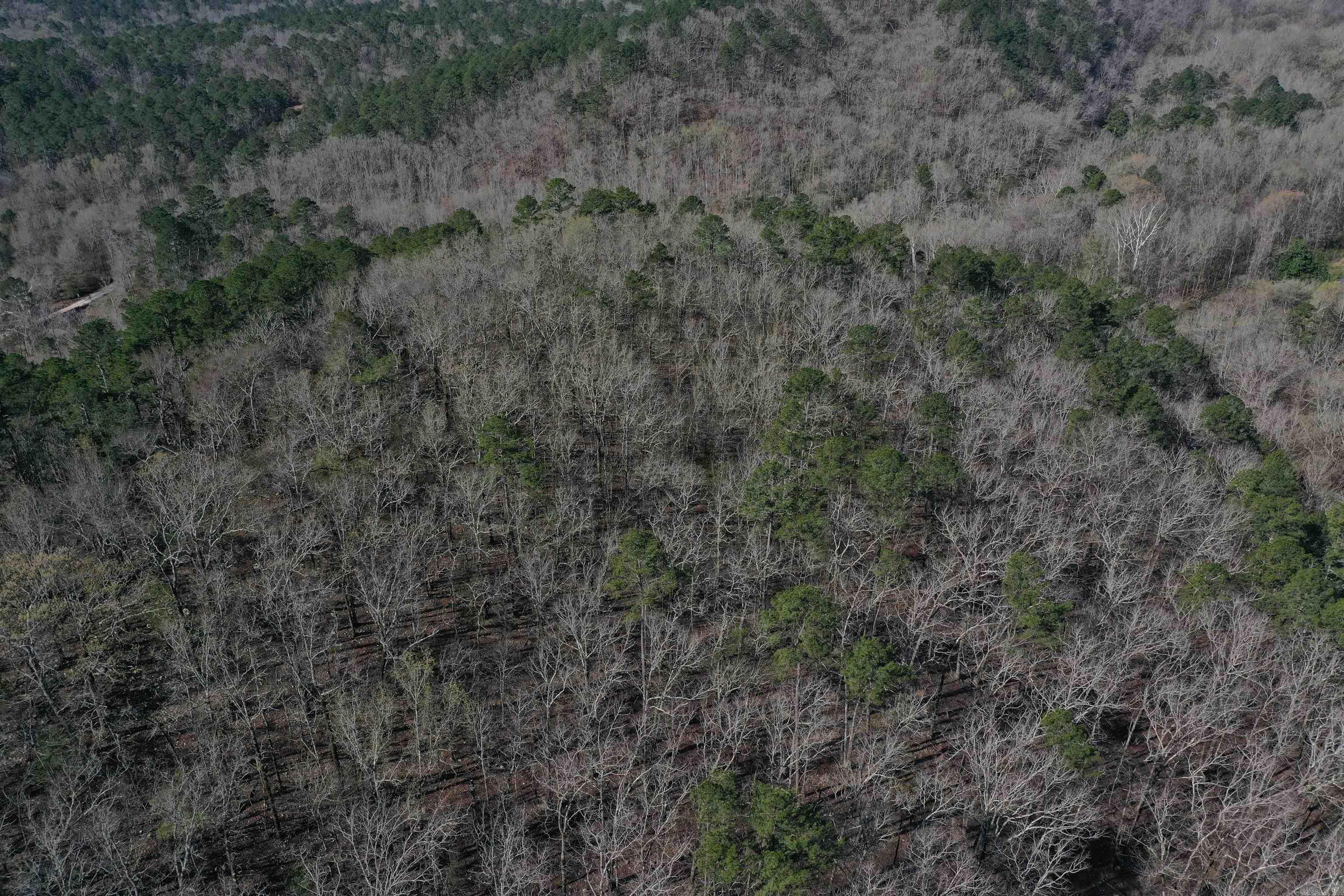 0000 Old Dallas Road Property Photo 10