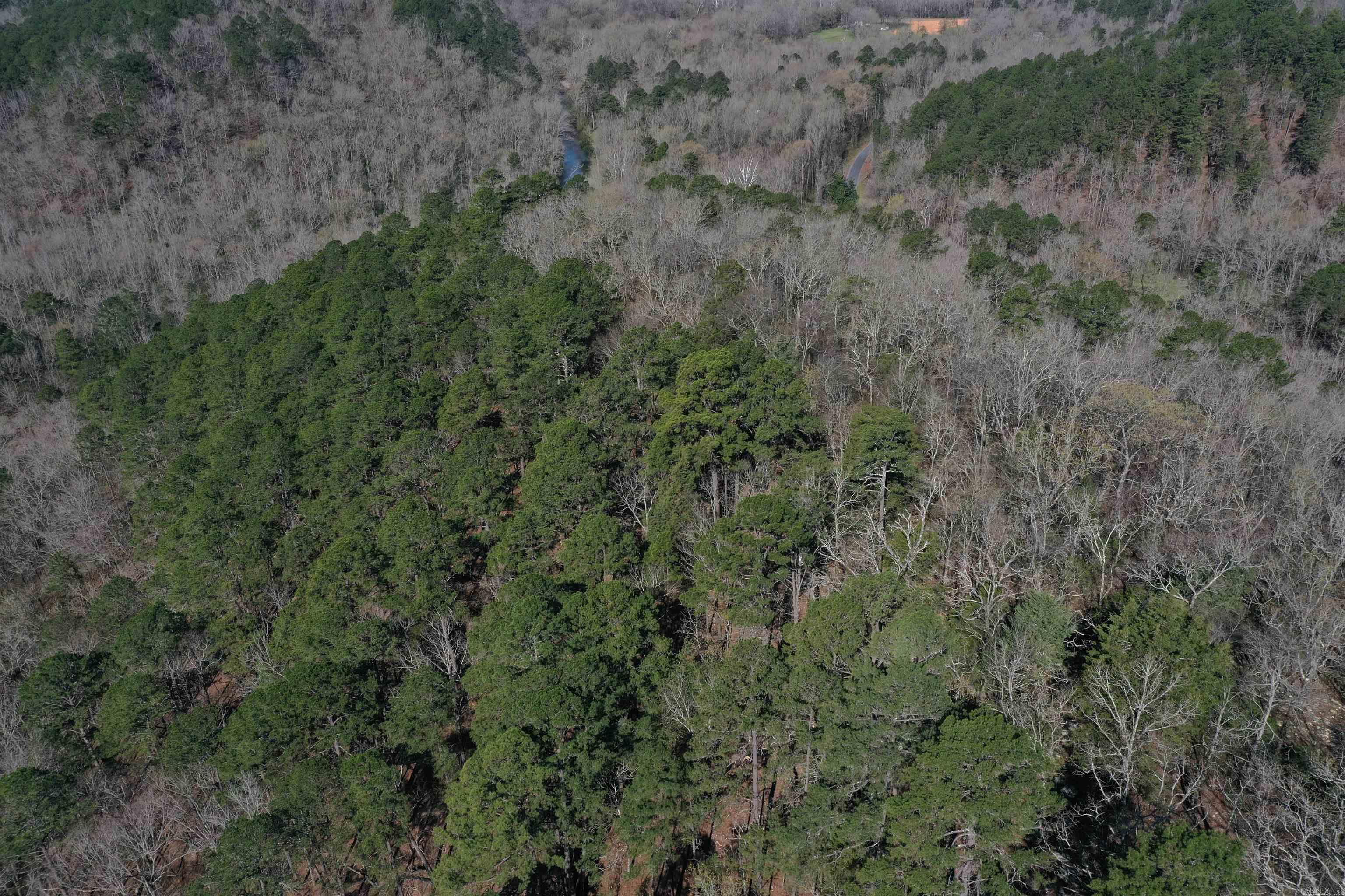 0000 Old Dallas Road Property Photo 11