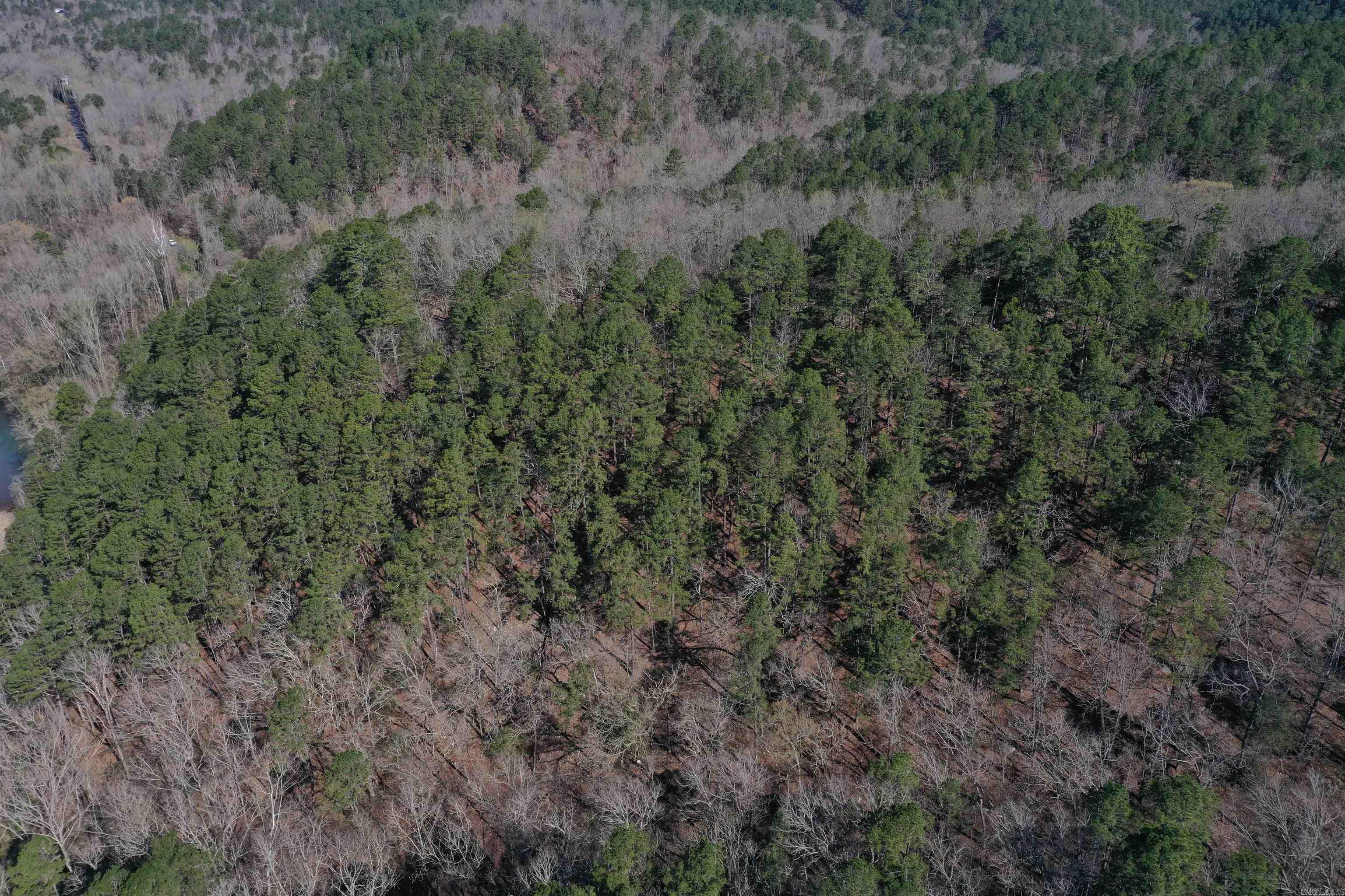 0000 Old Dallas Road Property Photo 13