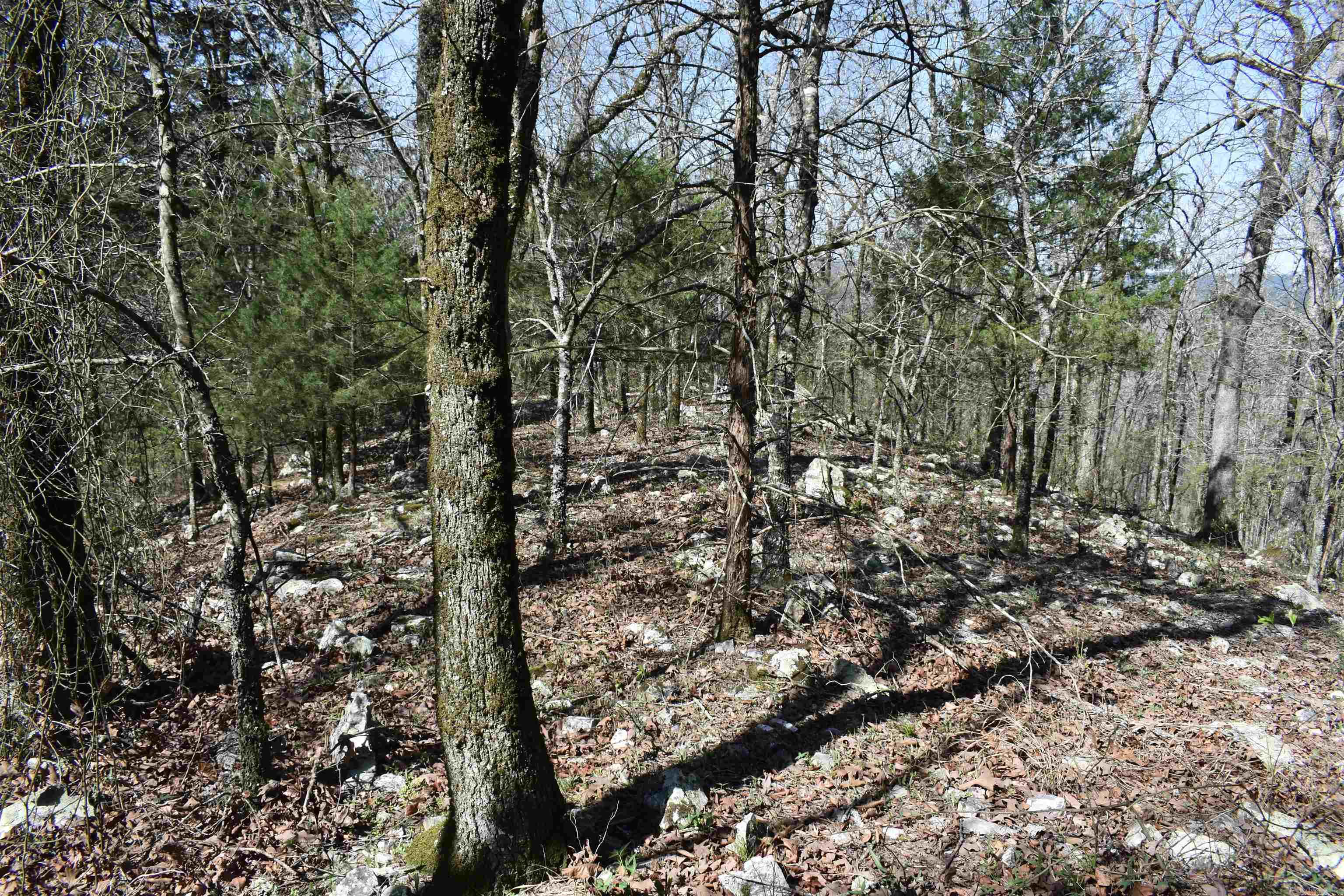 0000 Old Dallas Road Property Photo 15