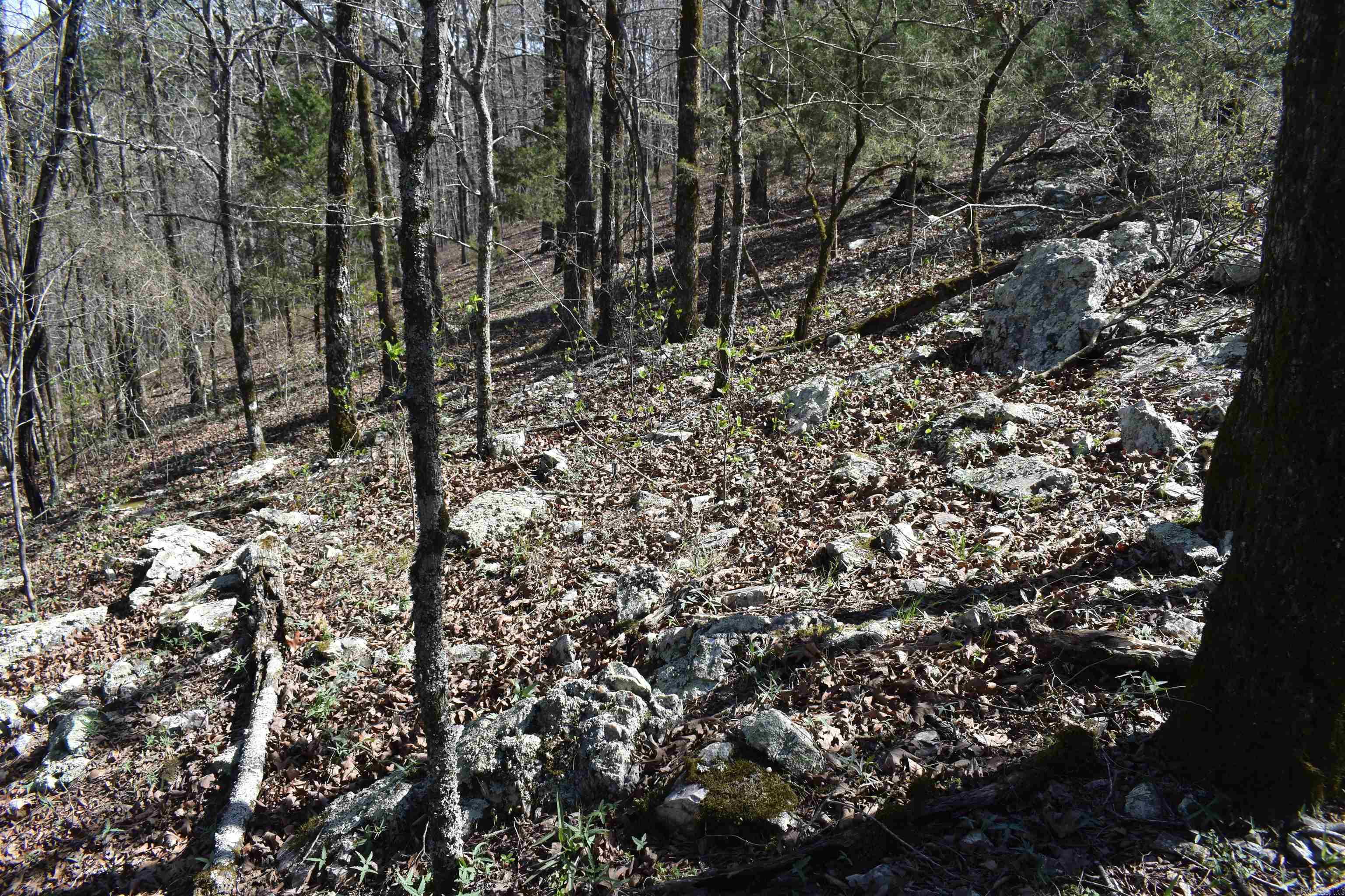 0000 Old Dallas Road Property Photo 16