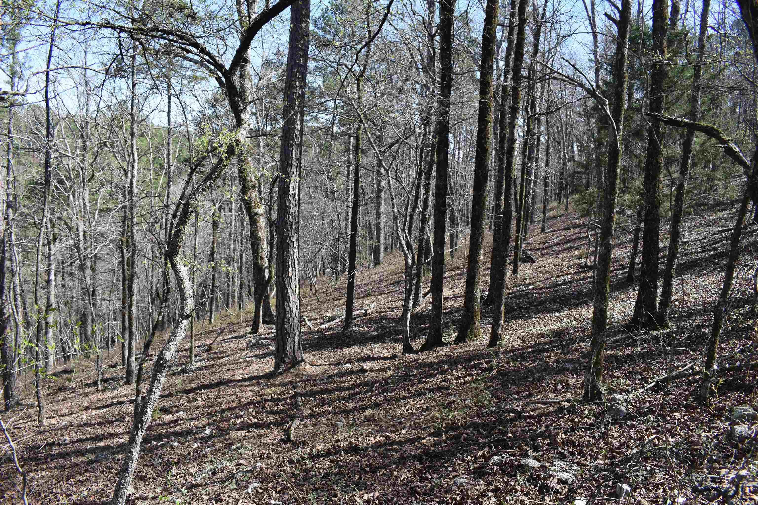 0000 Old Dallas Road Property Photo 17