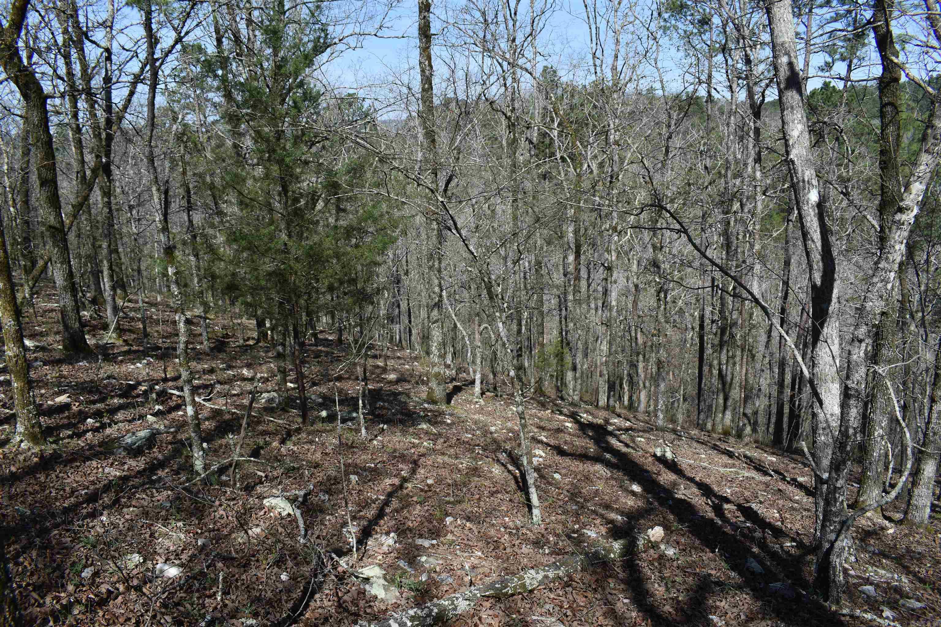 0000 Old Dallas Road Property Photo 18