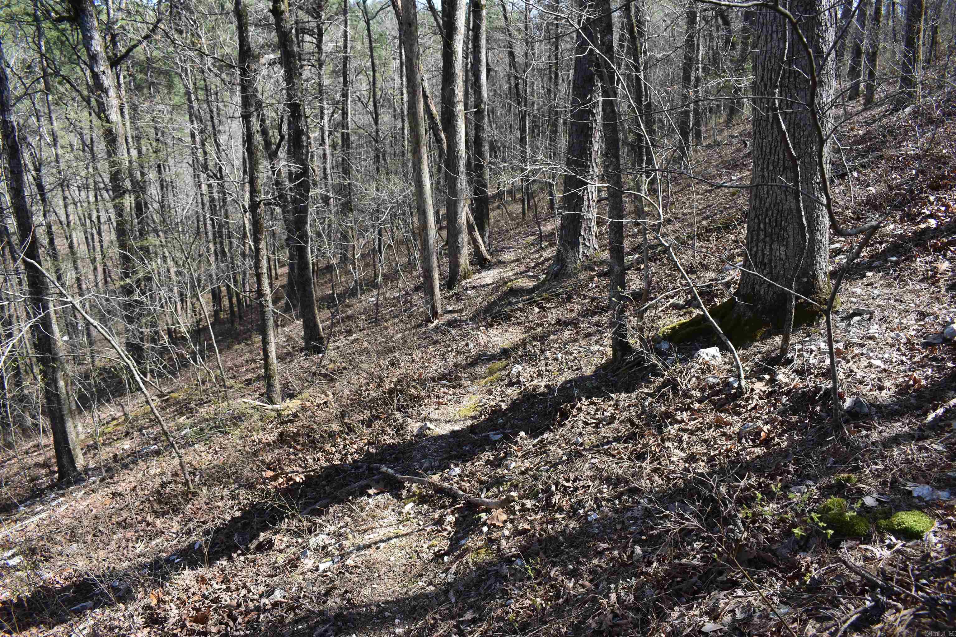 0000 Old Dallas Road Property Photo 20