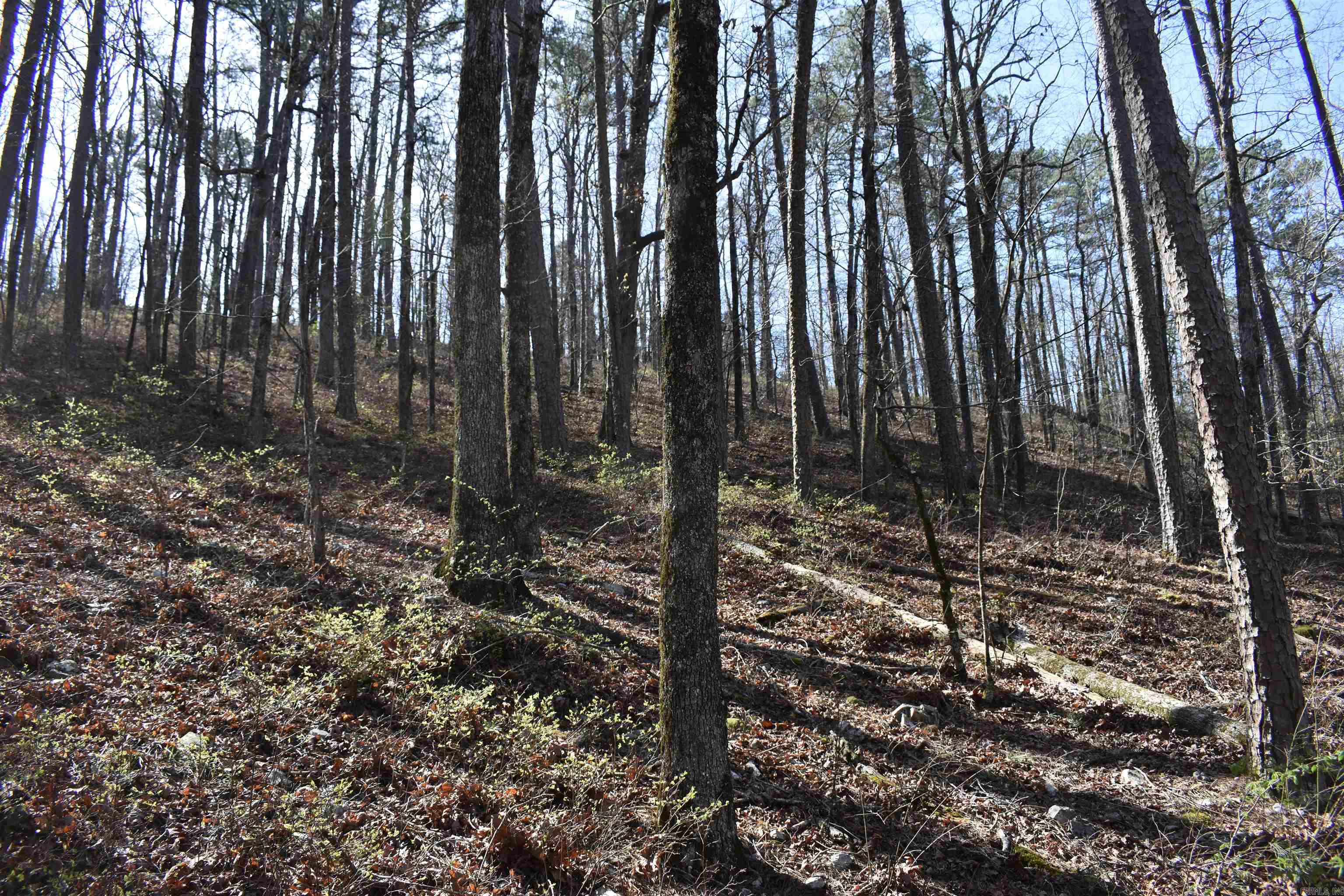 0000 Old Dallas Road Property Photo 23