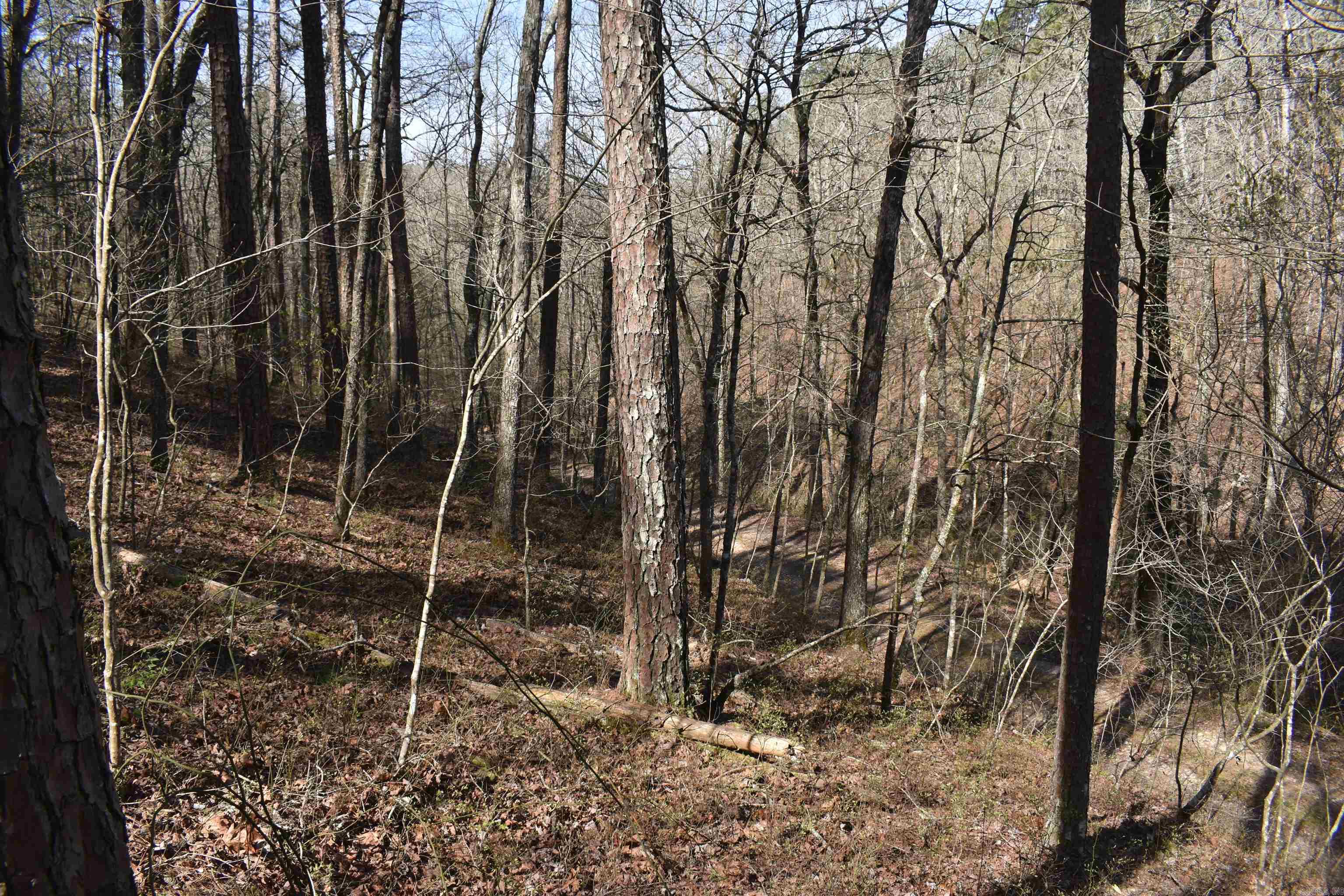 0000 Old Dallas Road Property Photo 25