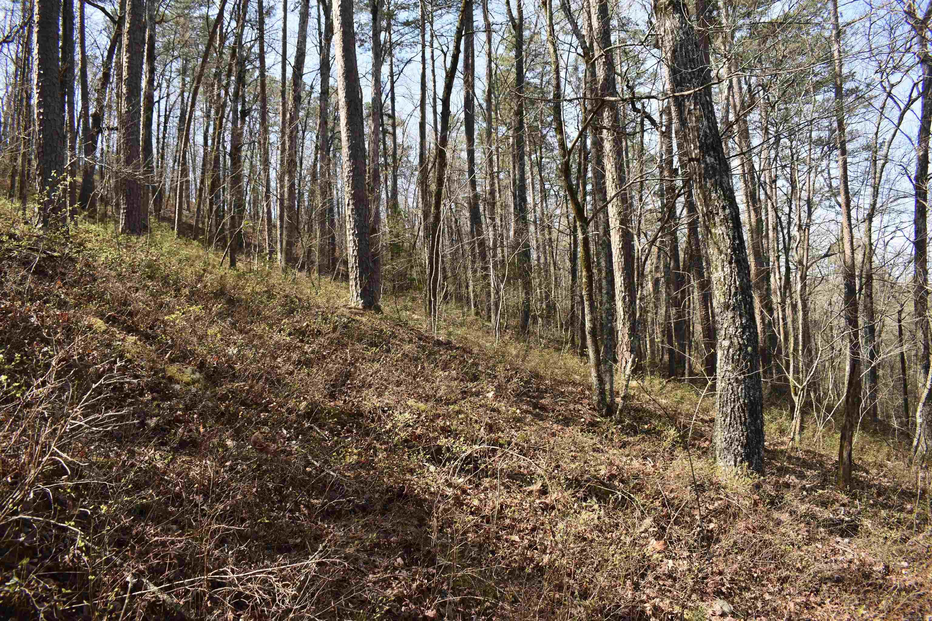 0000 Old Dallas Road Property Photo 26