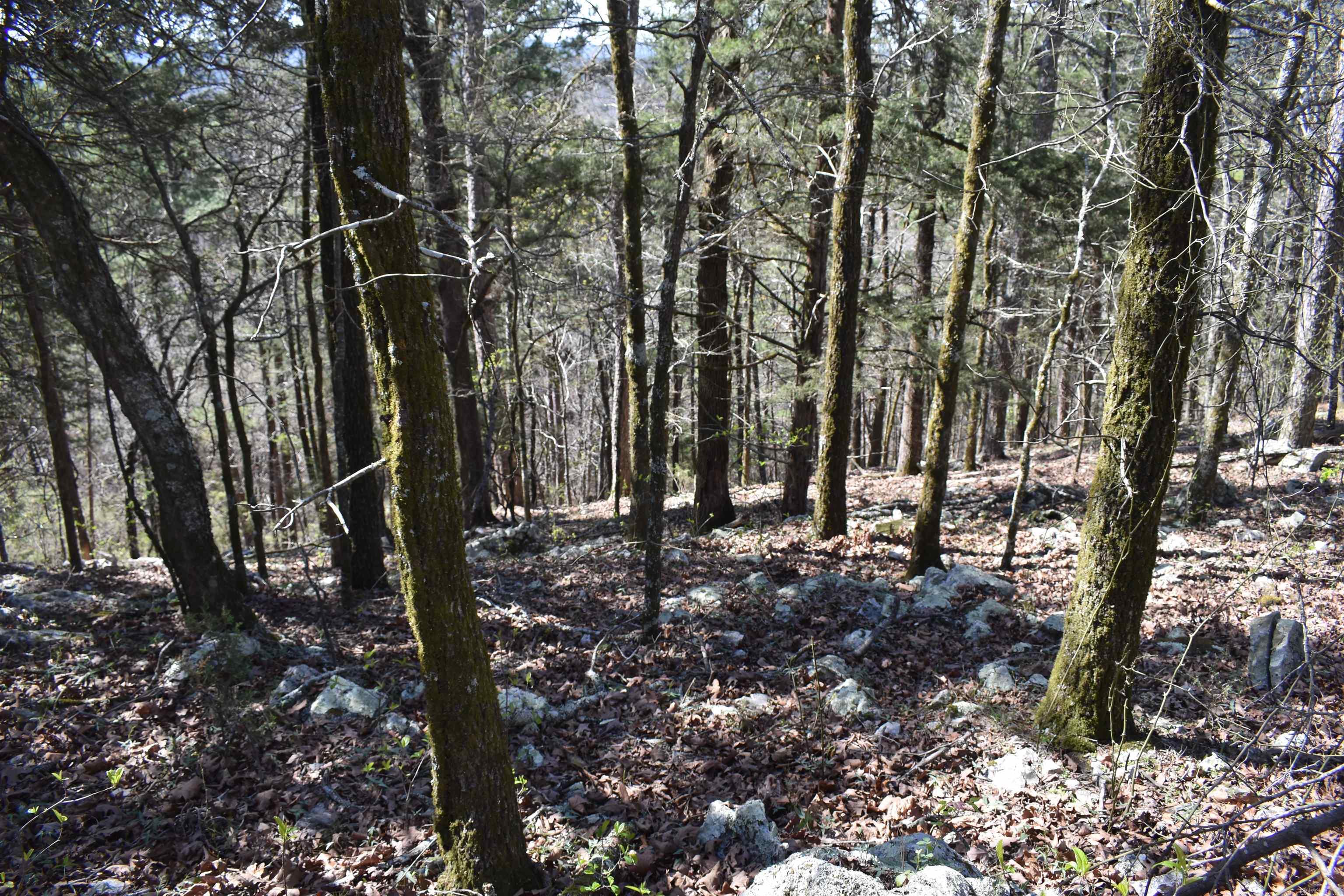0000 Old Dallas Road Property Photo 28