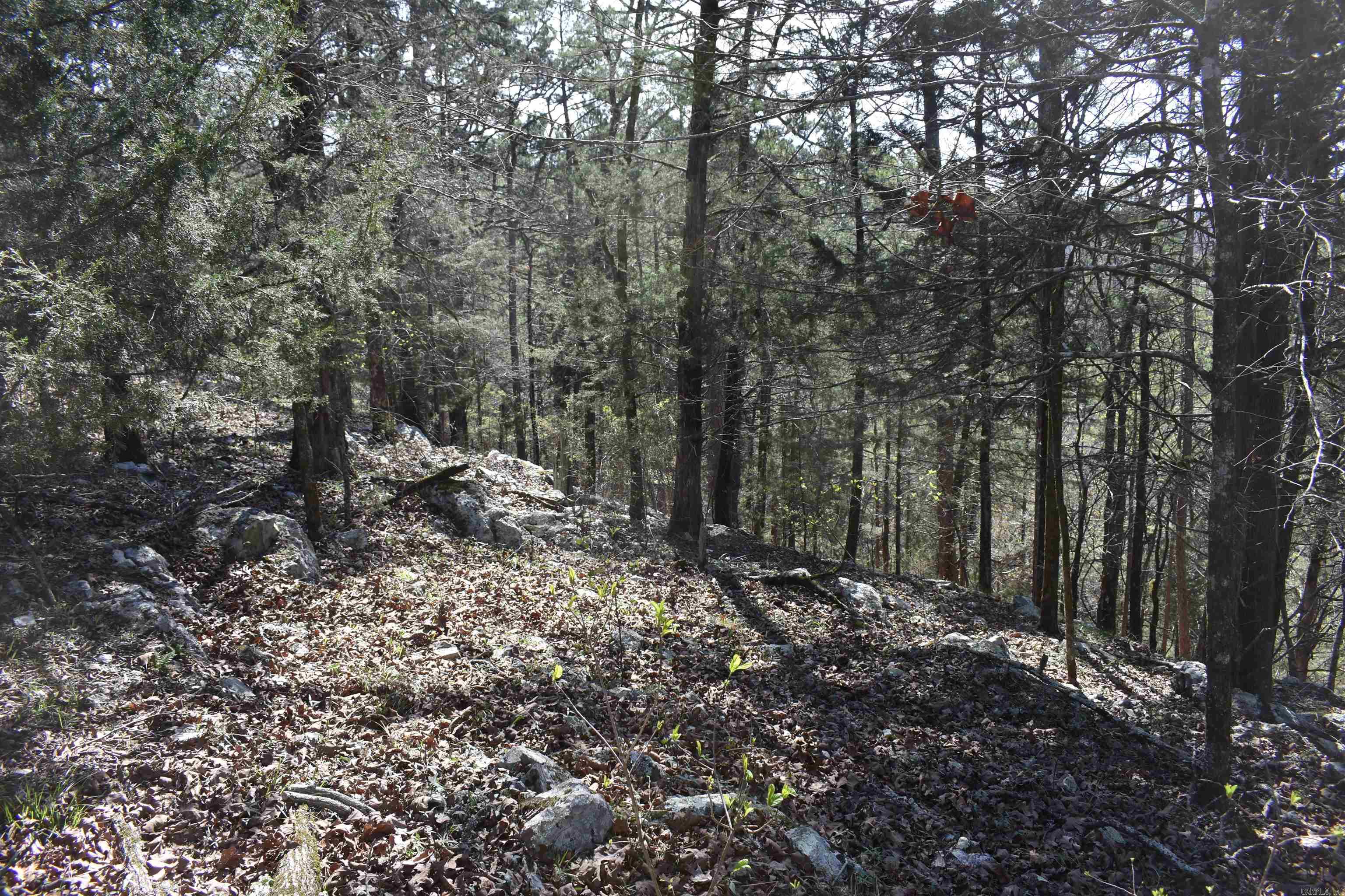 0000 Old Dallas Road Property Photo 29