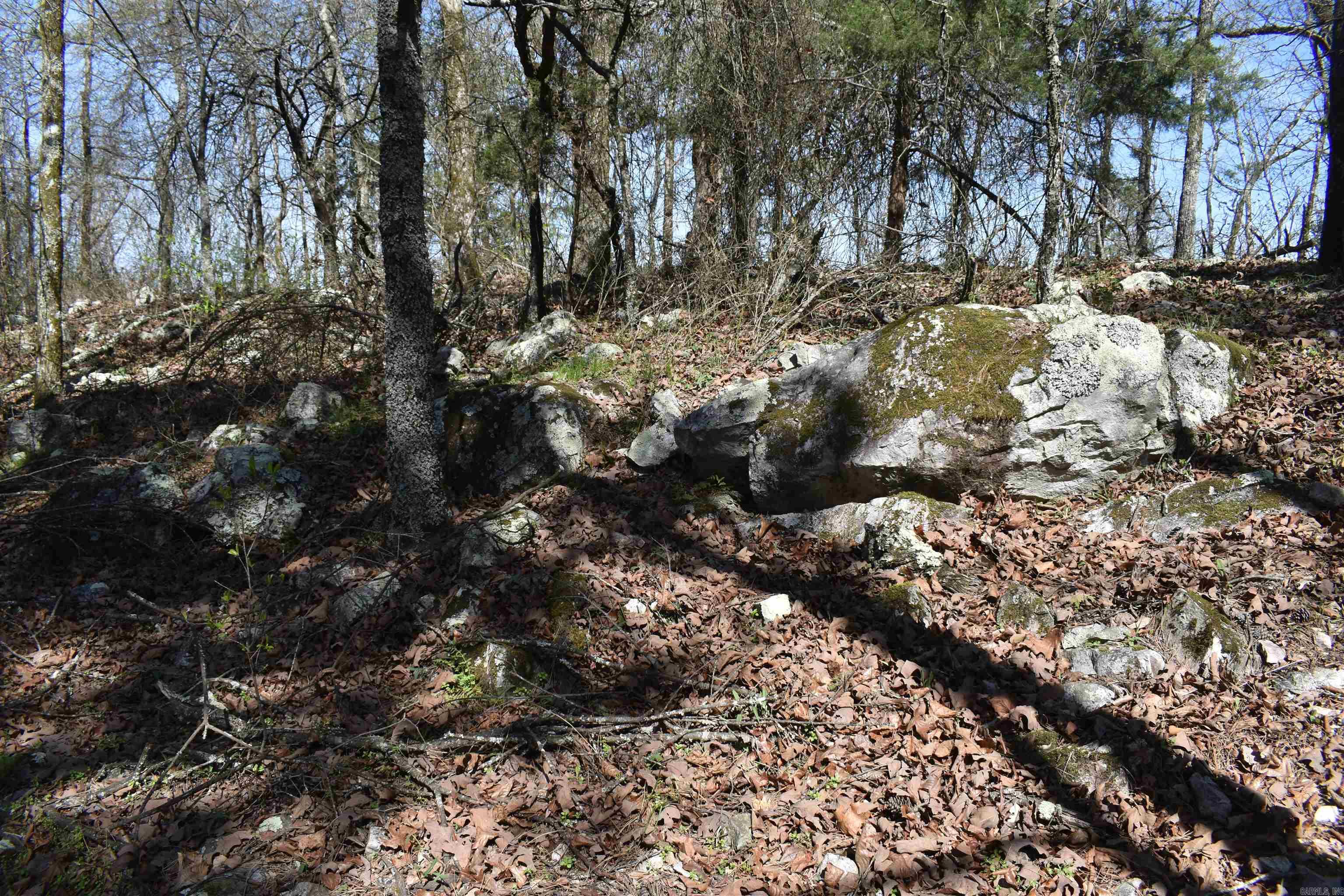 0000 Old Dallas Road Property Photo 31