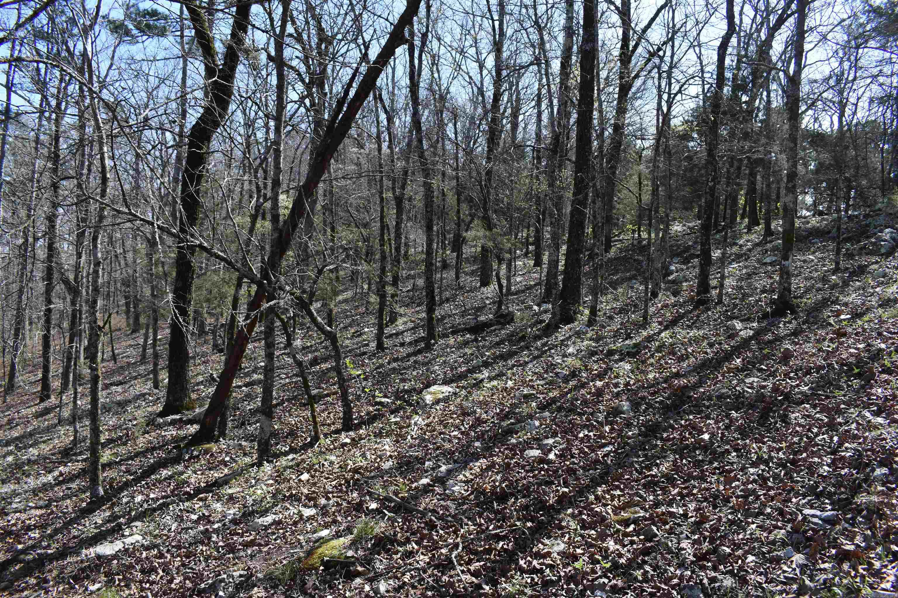 0000 Old Dallas Road Property Photo 33