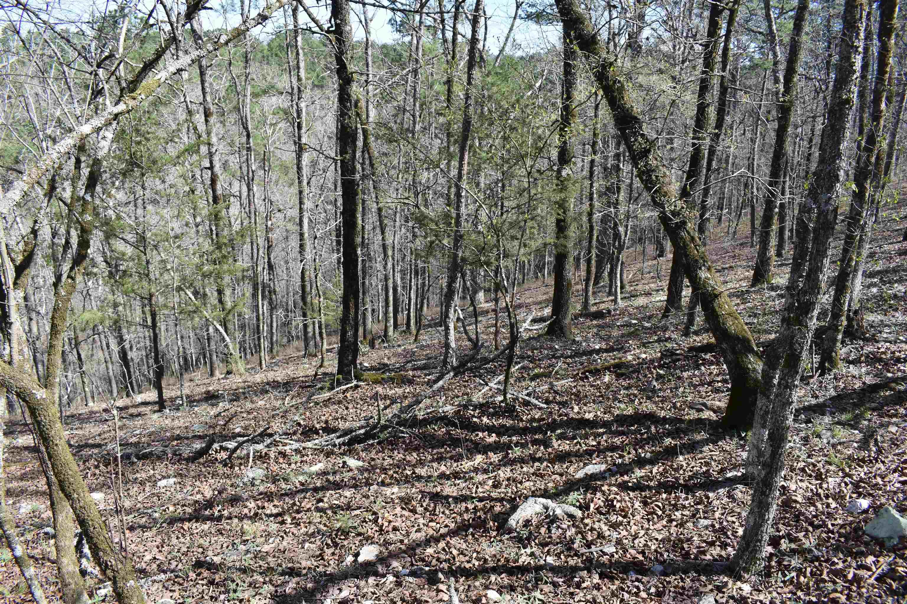 0000 Old Dallas Road Property Photo 34