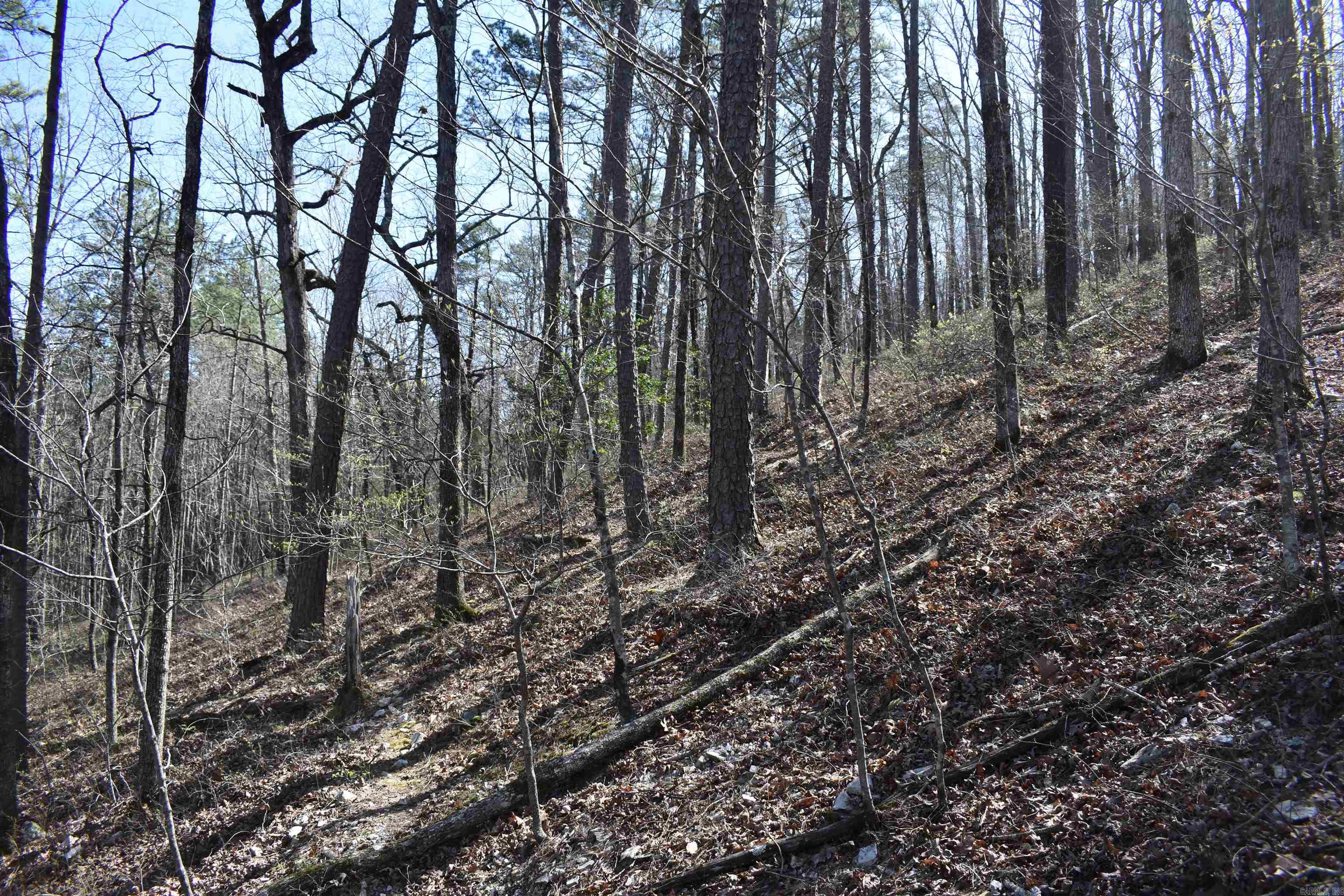 0000 Old Dallas Road Property Photo 35