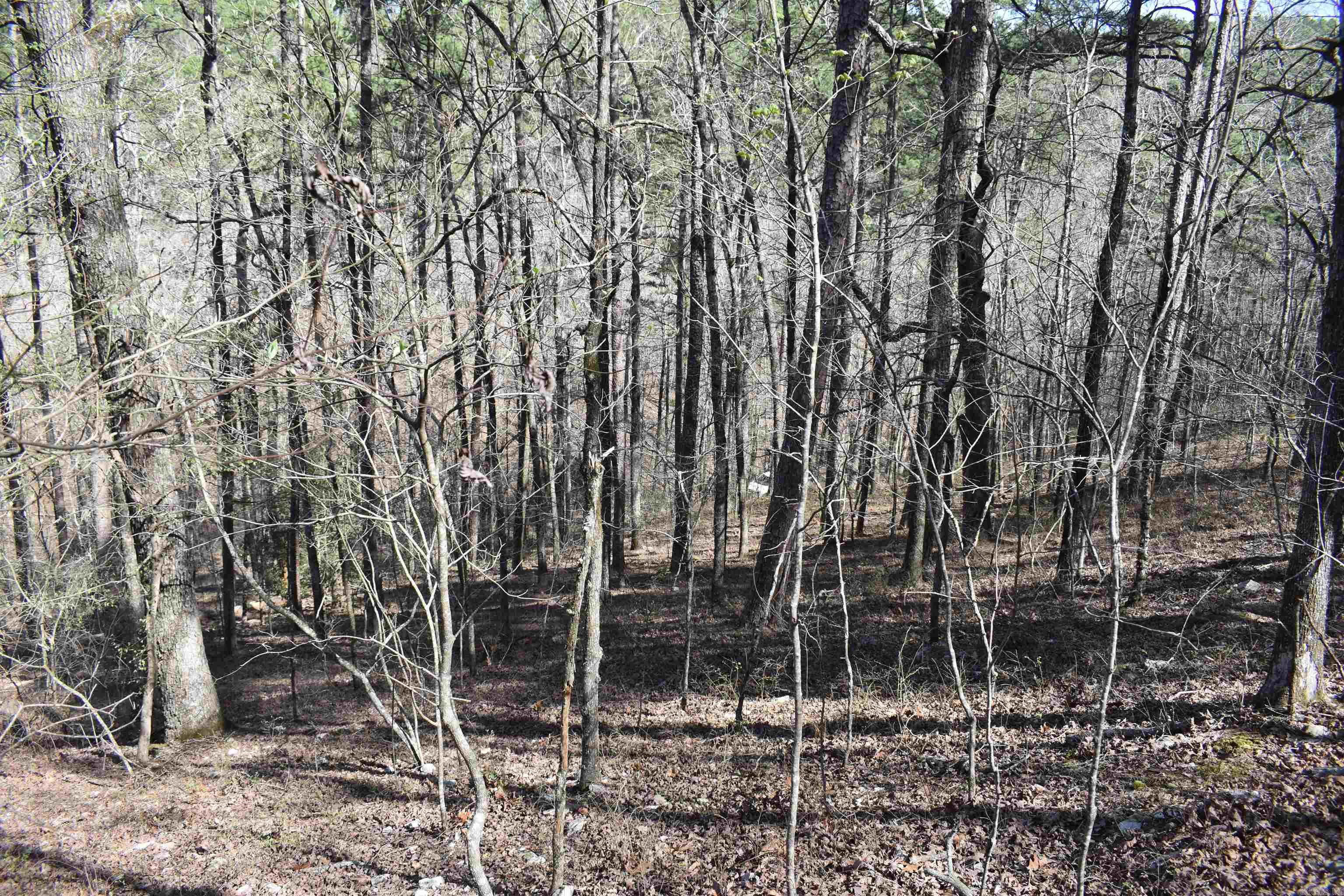 0000 Old Dallas Road Property Photo 37