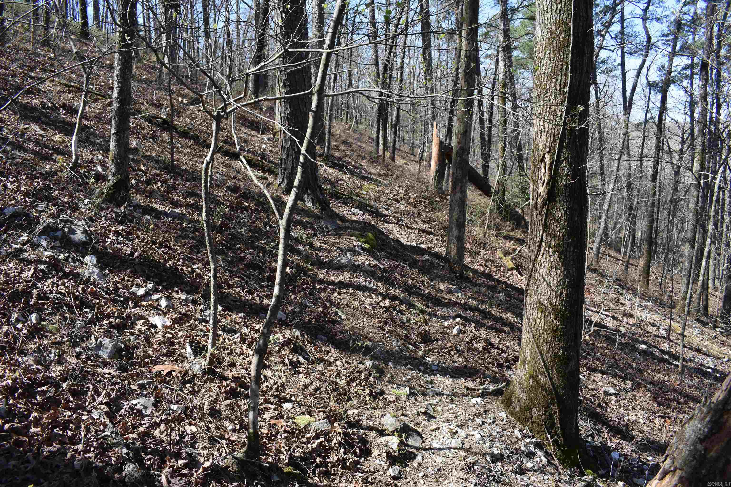 0000 Old Dallas Road Property Photo 38