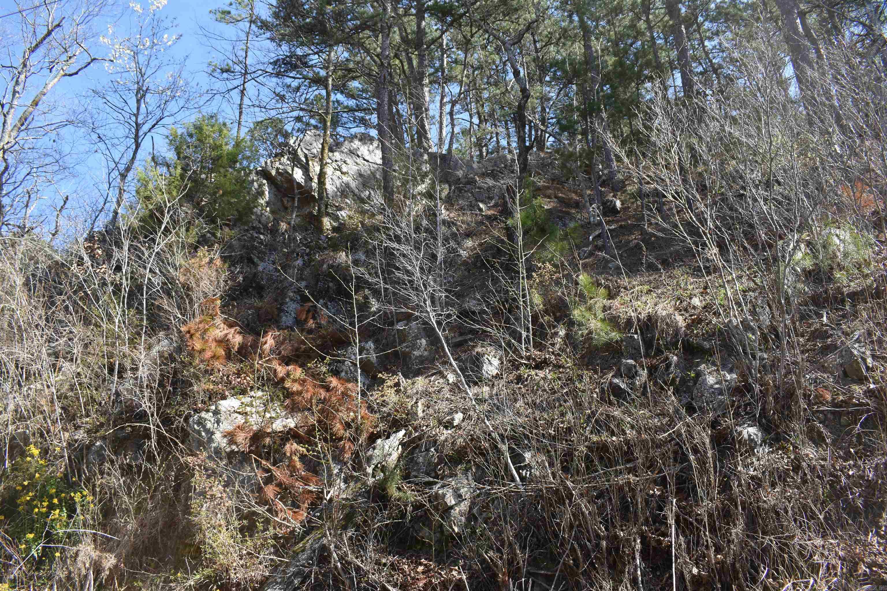 0000 Old Dallas Road Property Photo 41