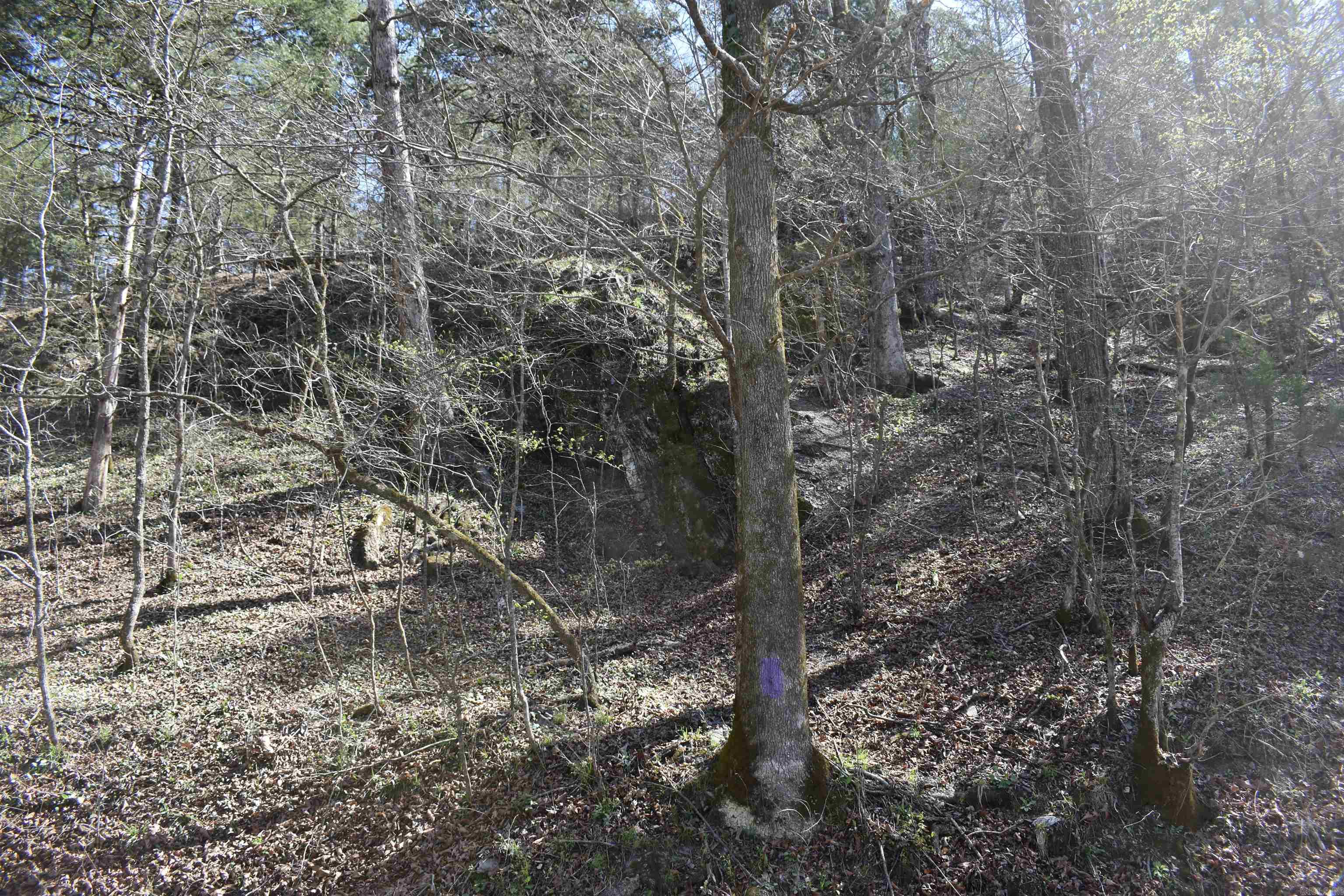 0000 Old Dallas Road Property Photo 42