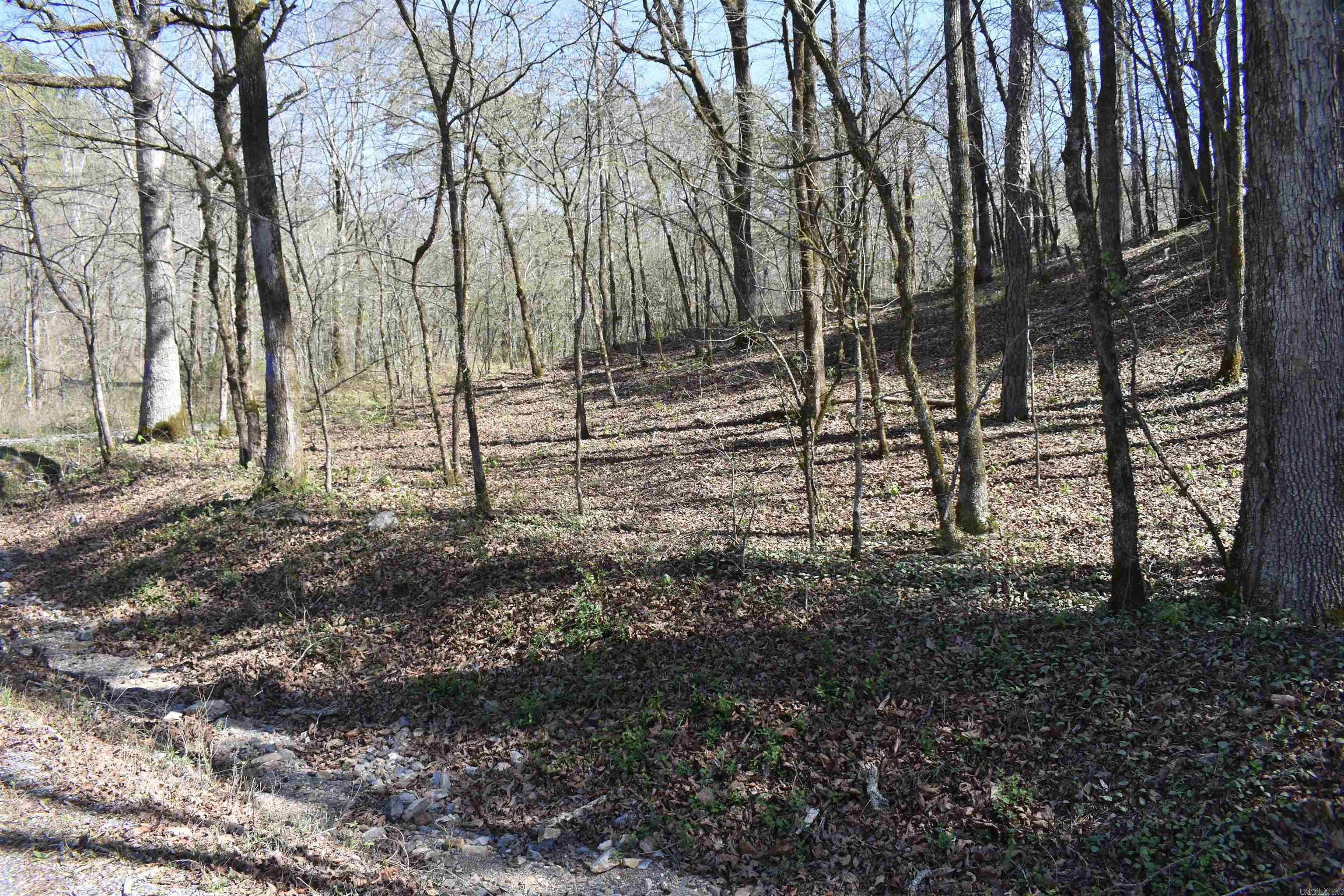 0000 Old Dallas Road Property Photo 43