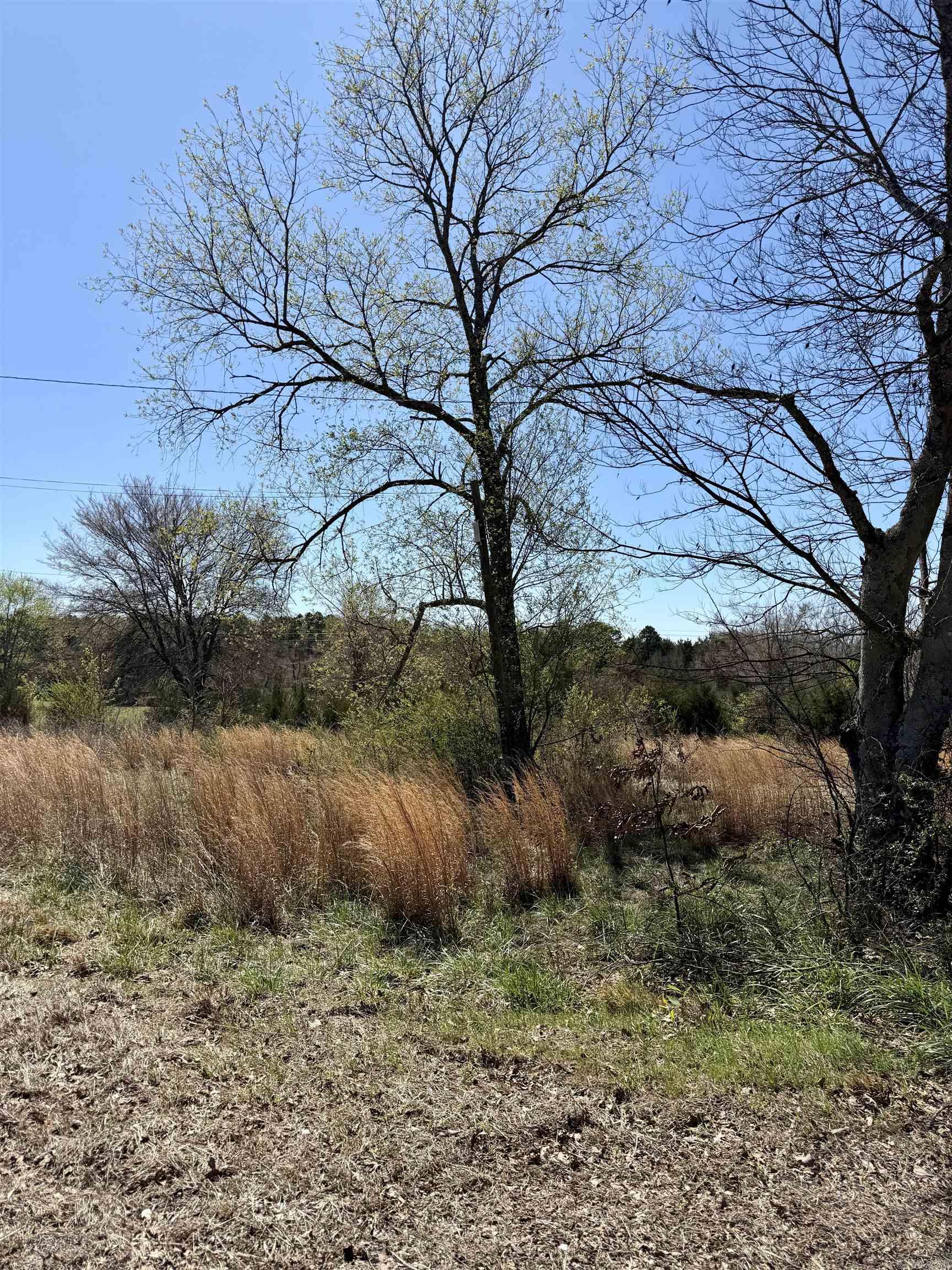 10383 Highway 352 Property Photo 3