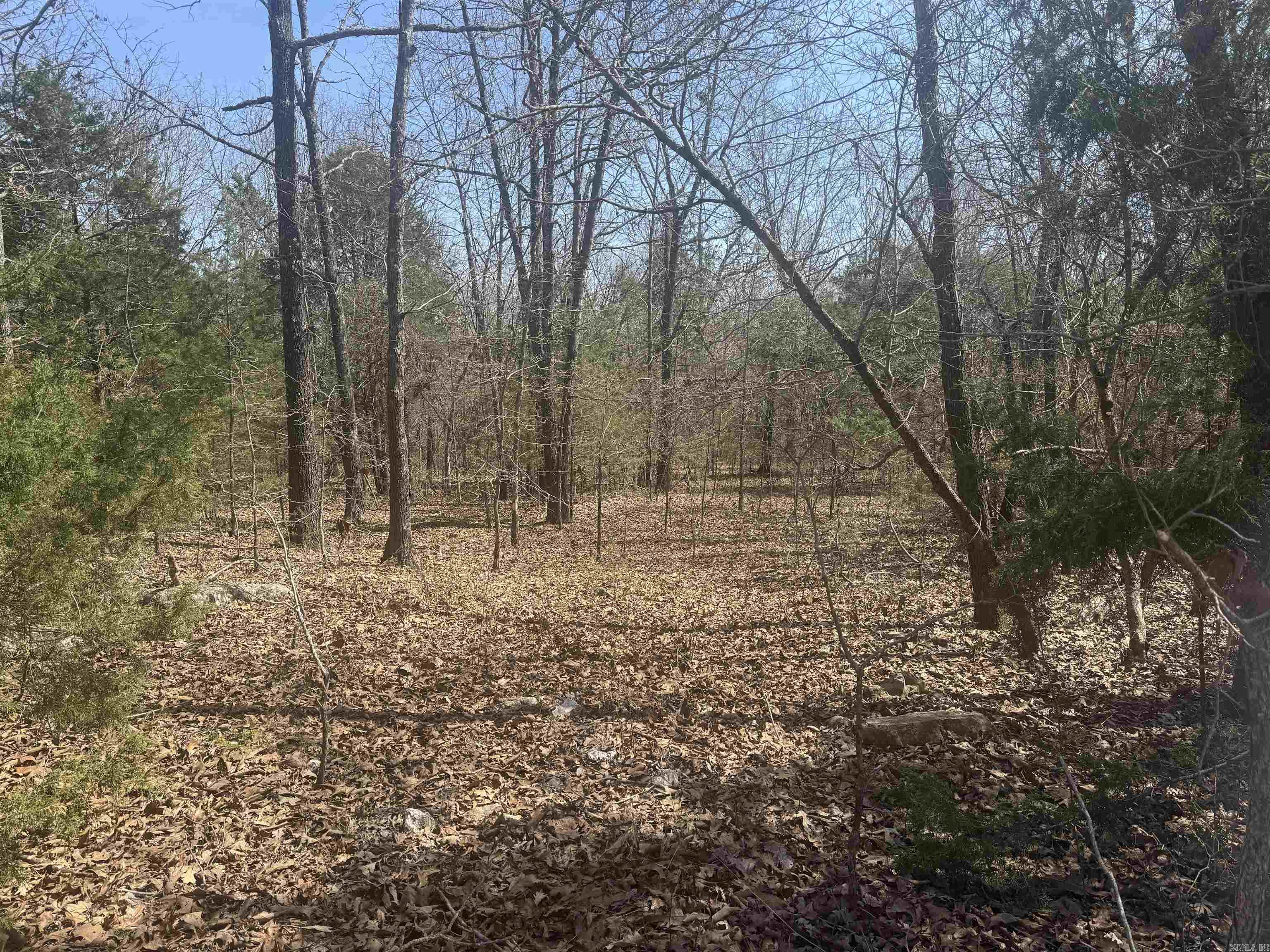 203 Cr 94 Property Photo 12