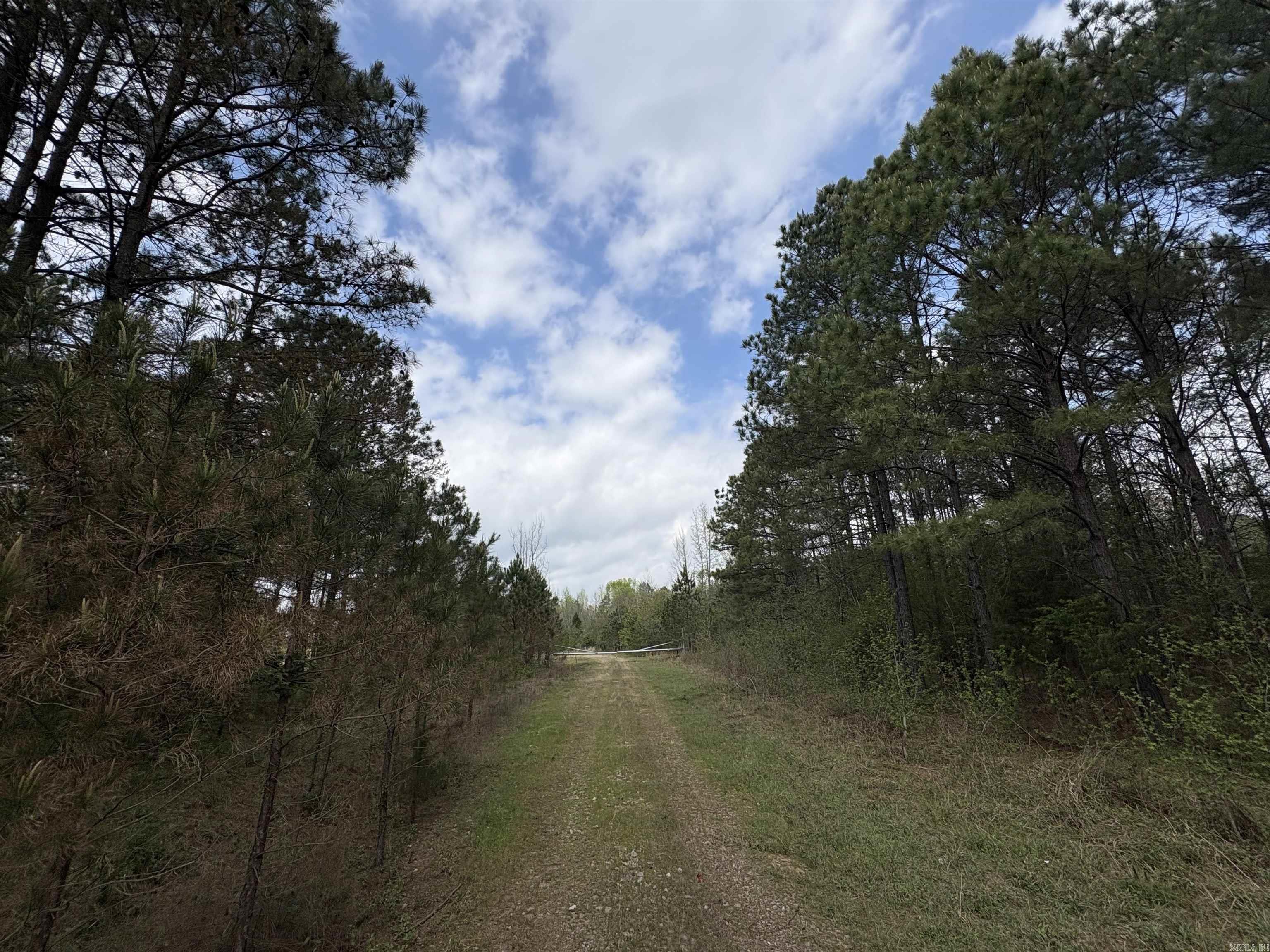 Tbd Frost Road Property Photo 2