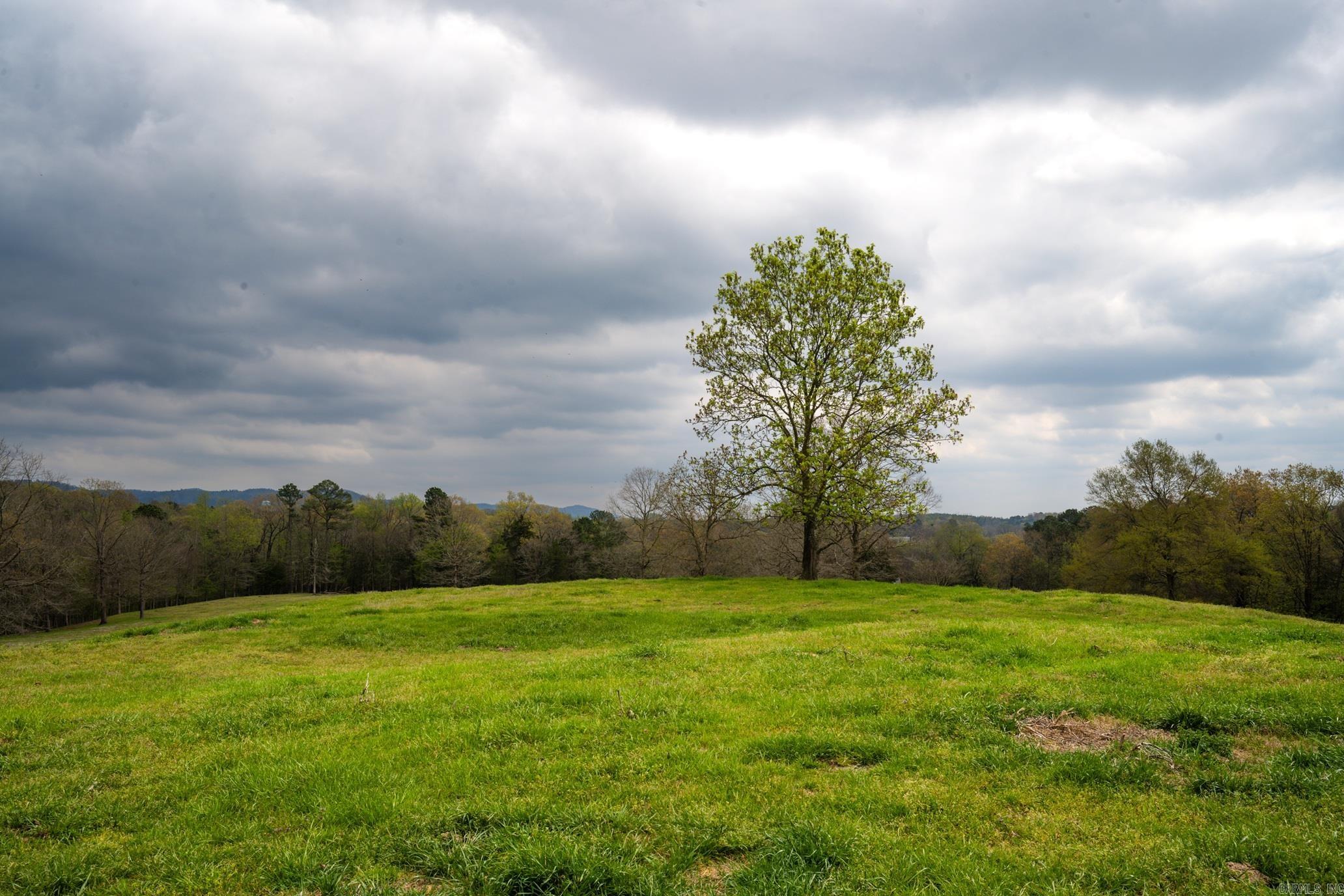 665 Highway 246 Property Photo 11