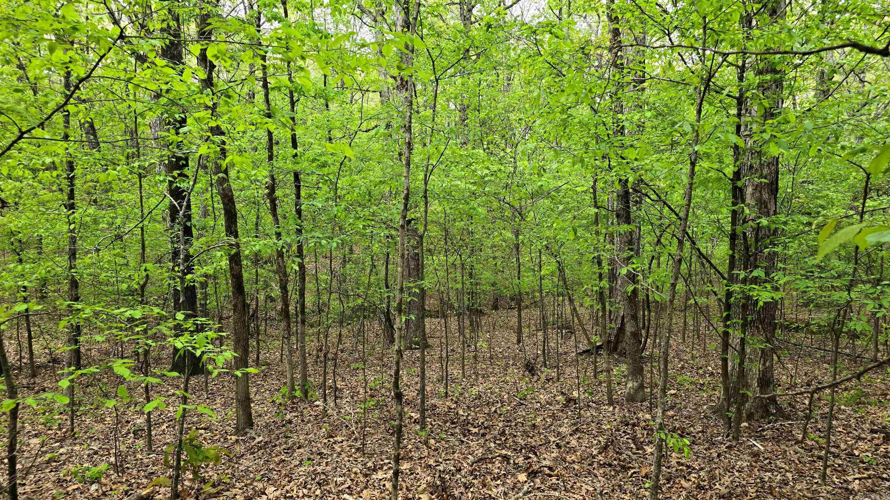 20962 Distress Creek Rd Property Photo 6