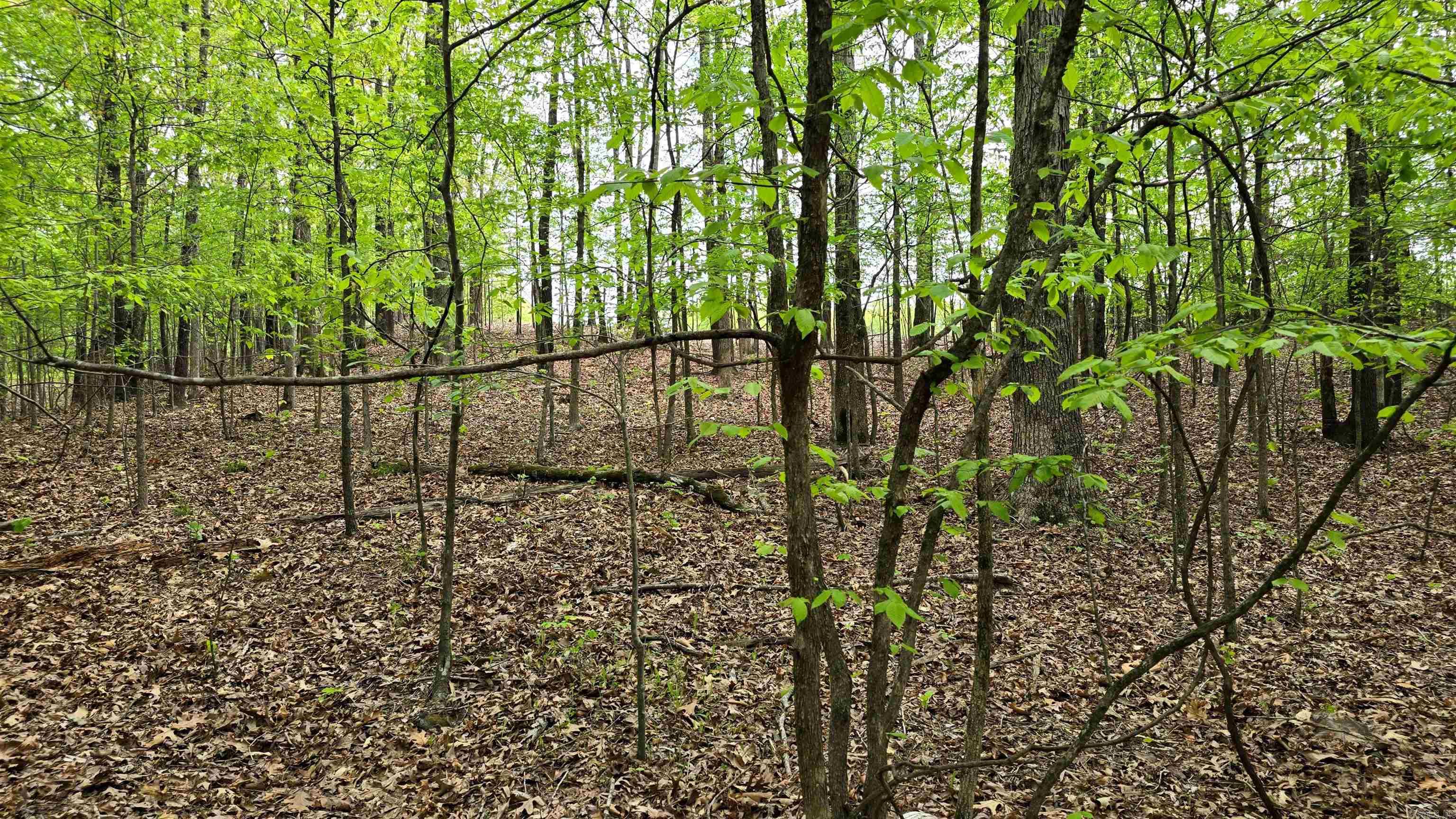 20962 Distress Creek Rd Property Photo 8