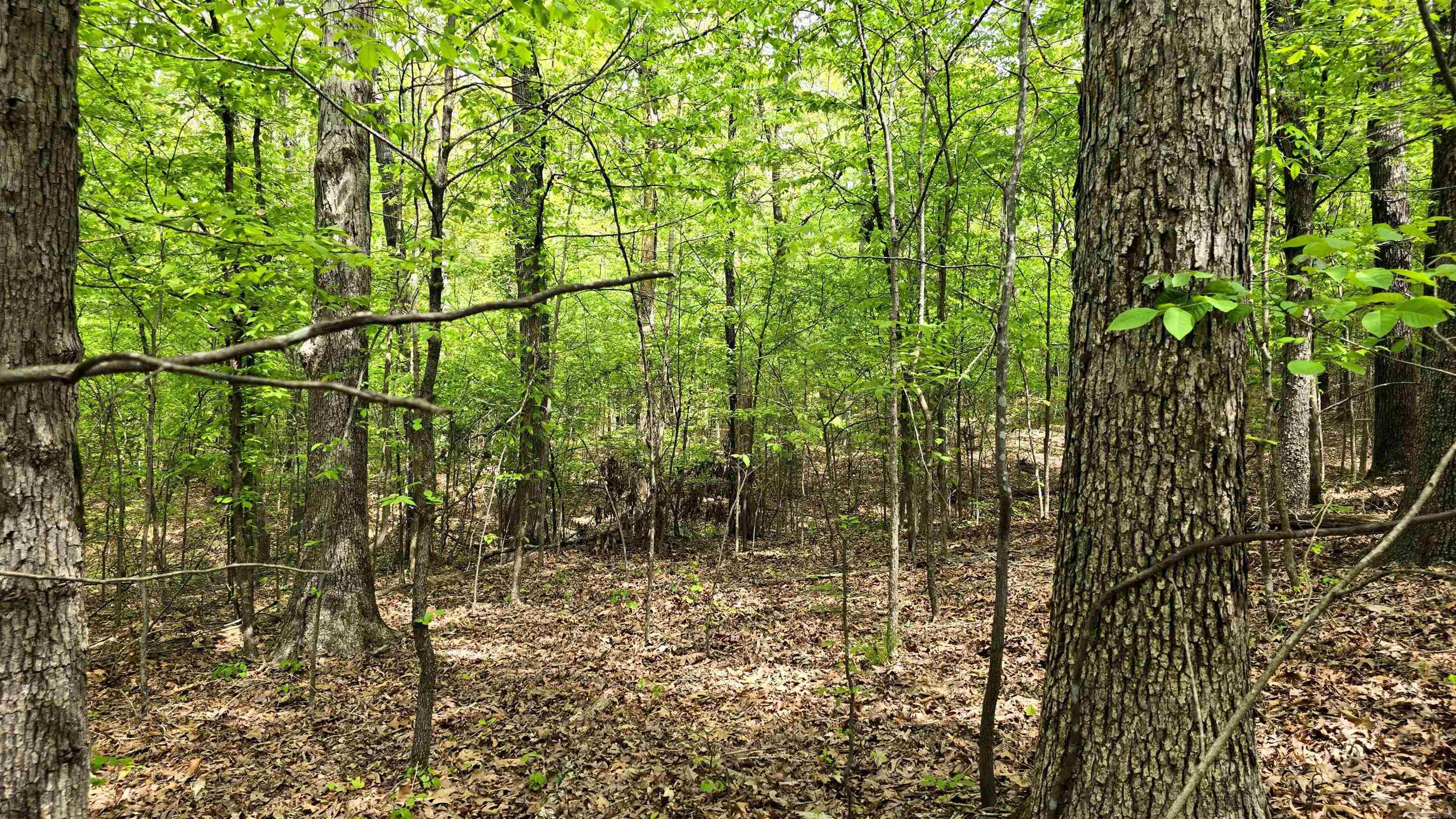 20962 Distress Creek Rd Property Photo 9