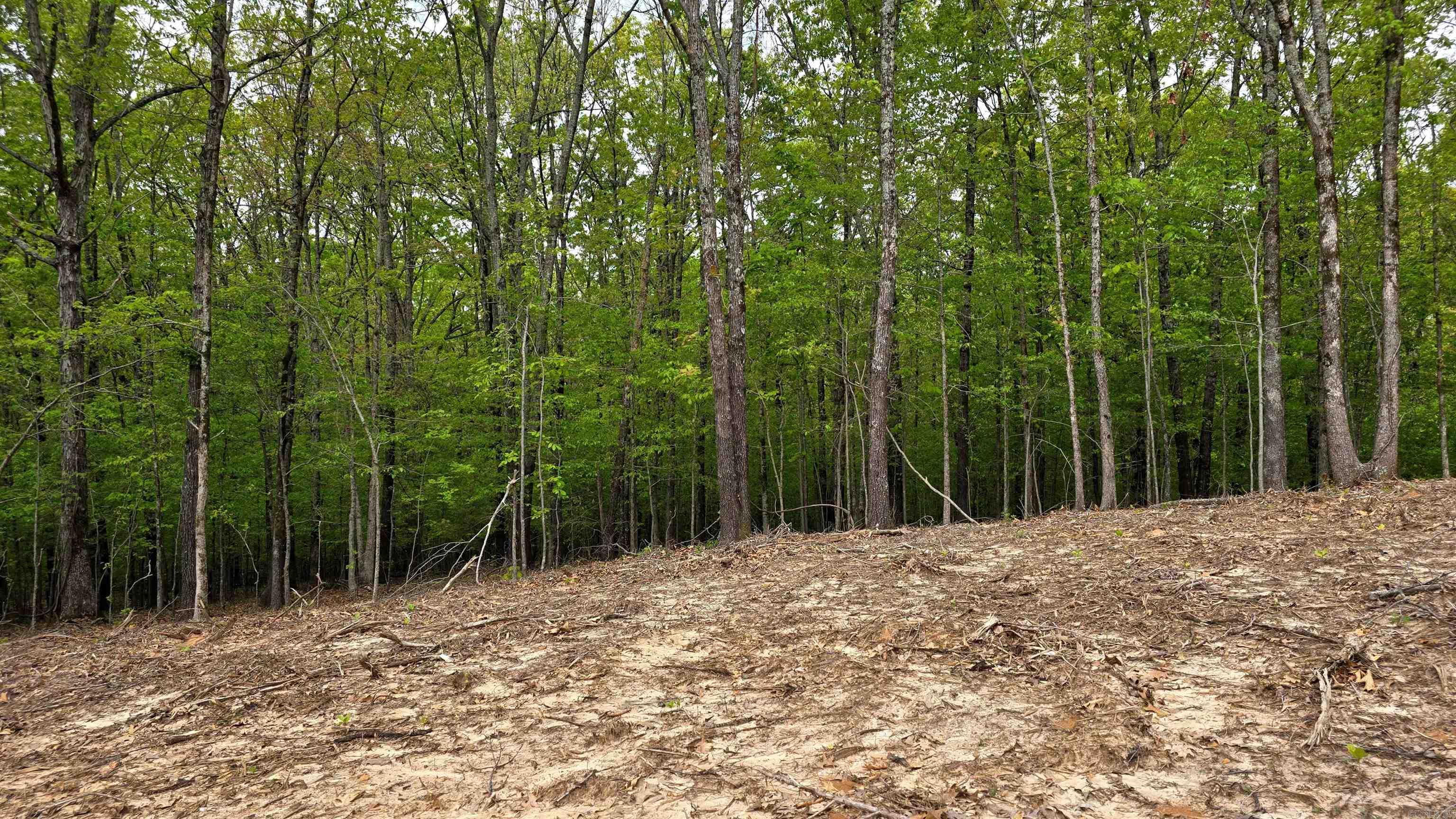 20962 Distress Creek Rd Property Photo 10