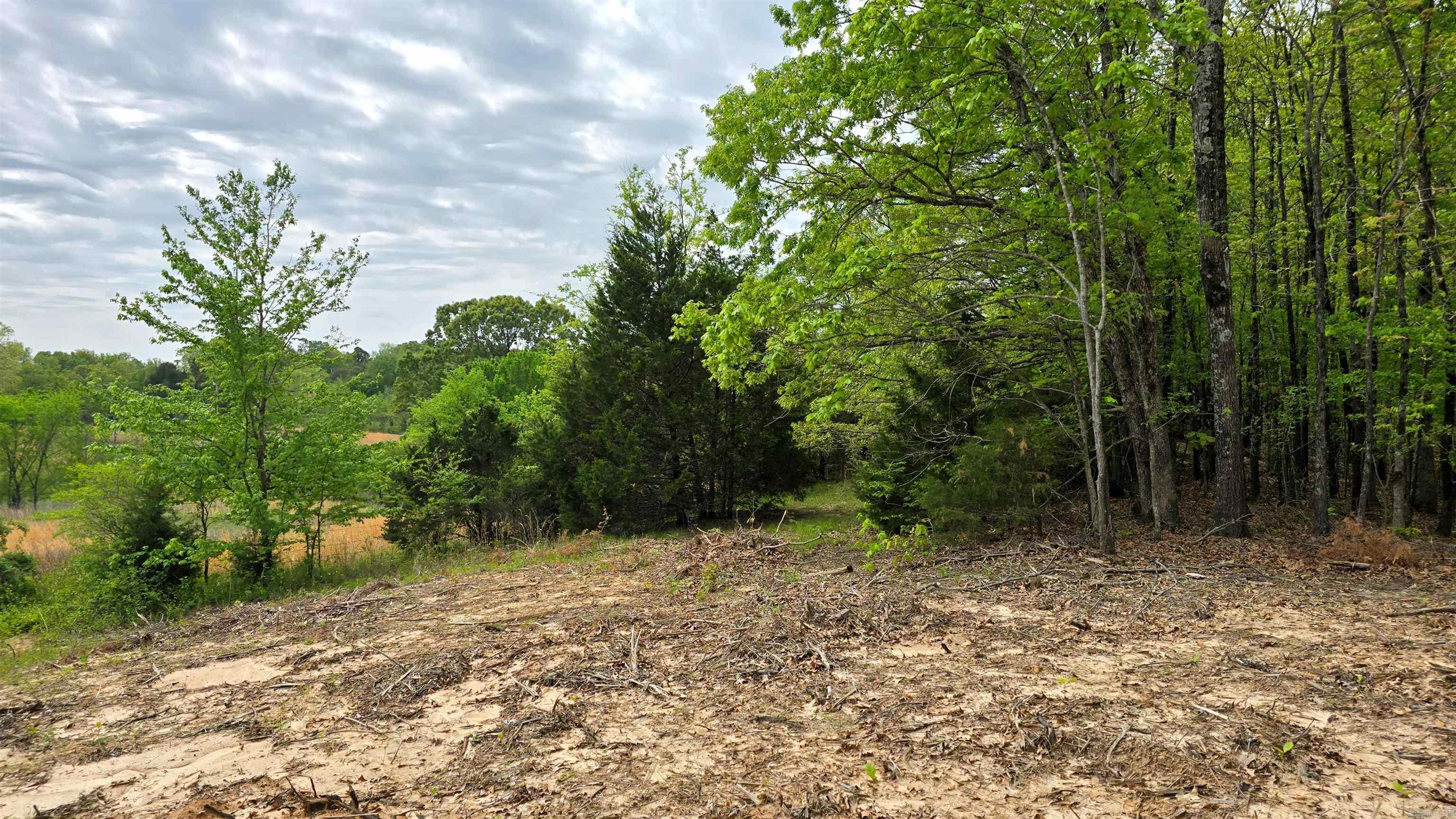 20962 Distress Creek Rd Property Photo 11