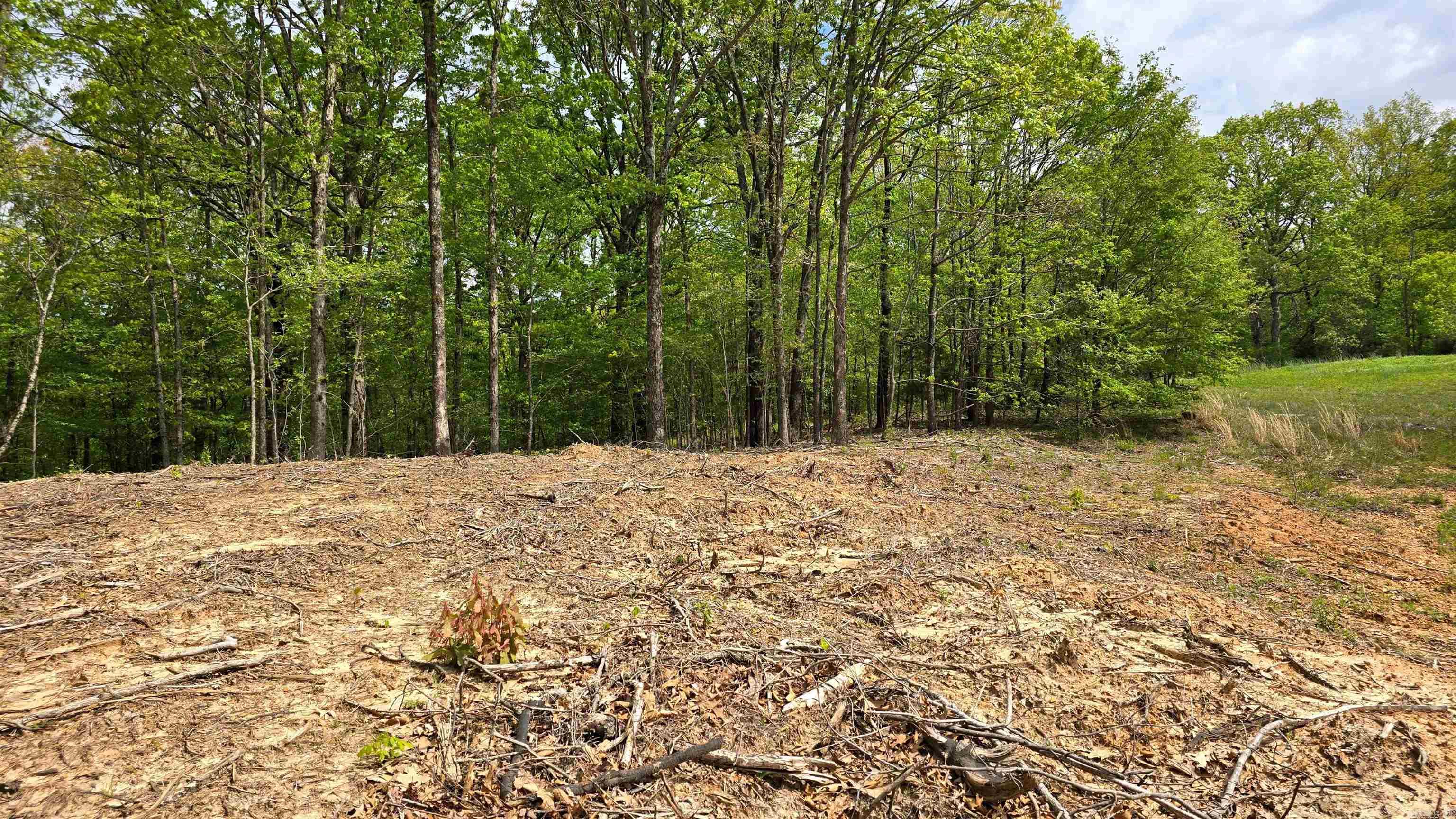 20962 Distress Creek Rd Property Photo 12