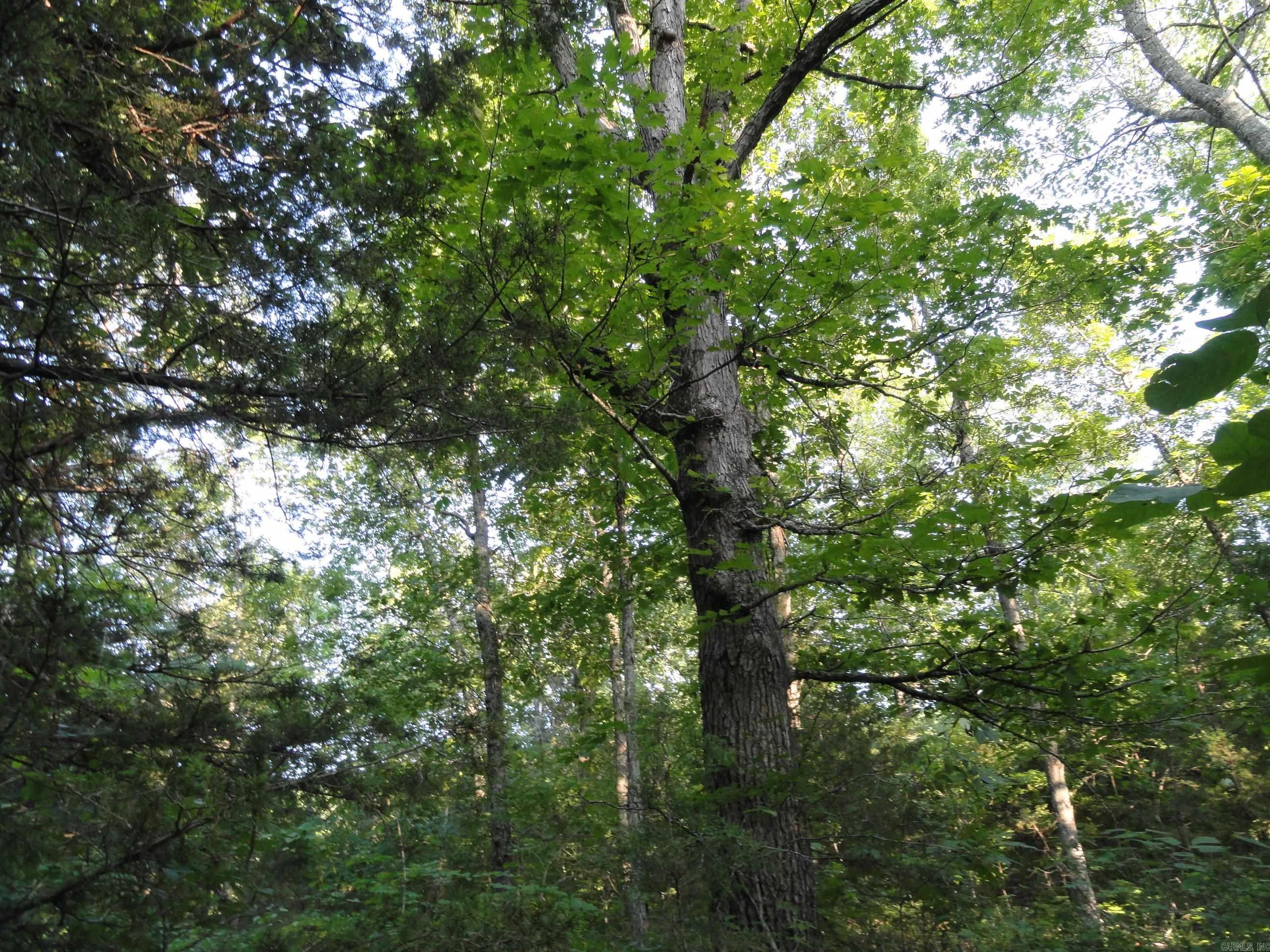 168 Reflections Drive Property Photo 15