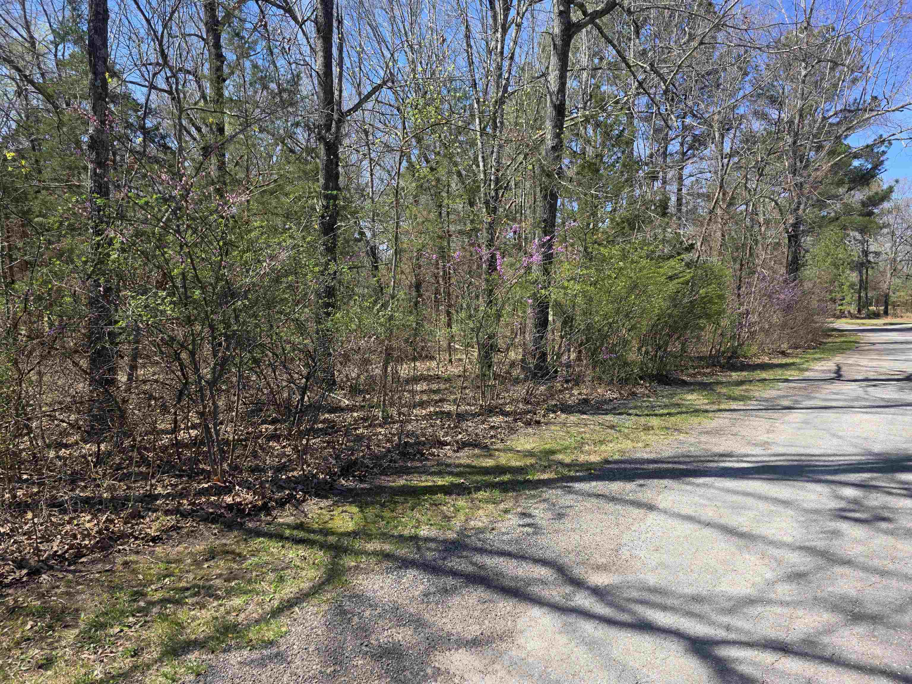 L-22 B-10 Nameoki Drive Property Photo 1