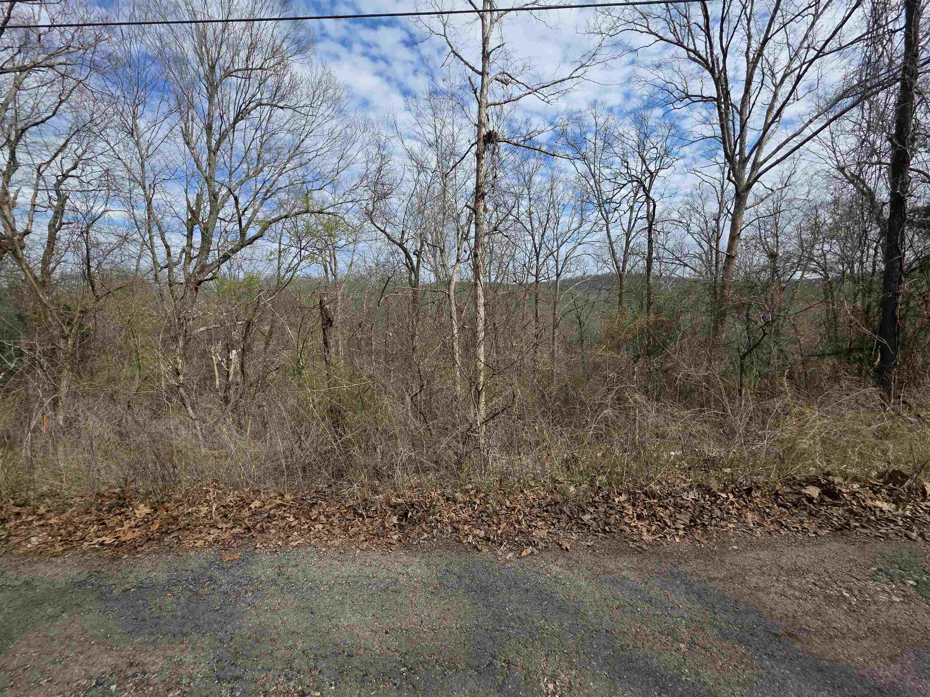 L-11, B-4 Will Scarlet Drive Property Photo 2