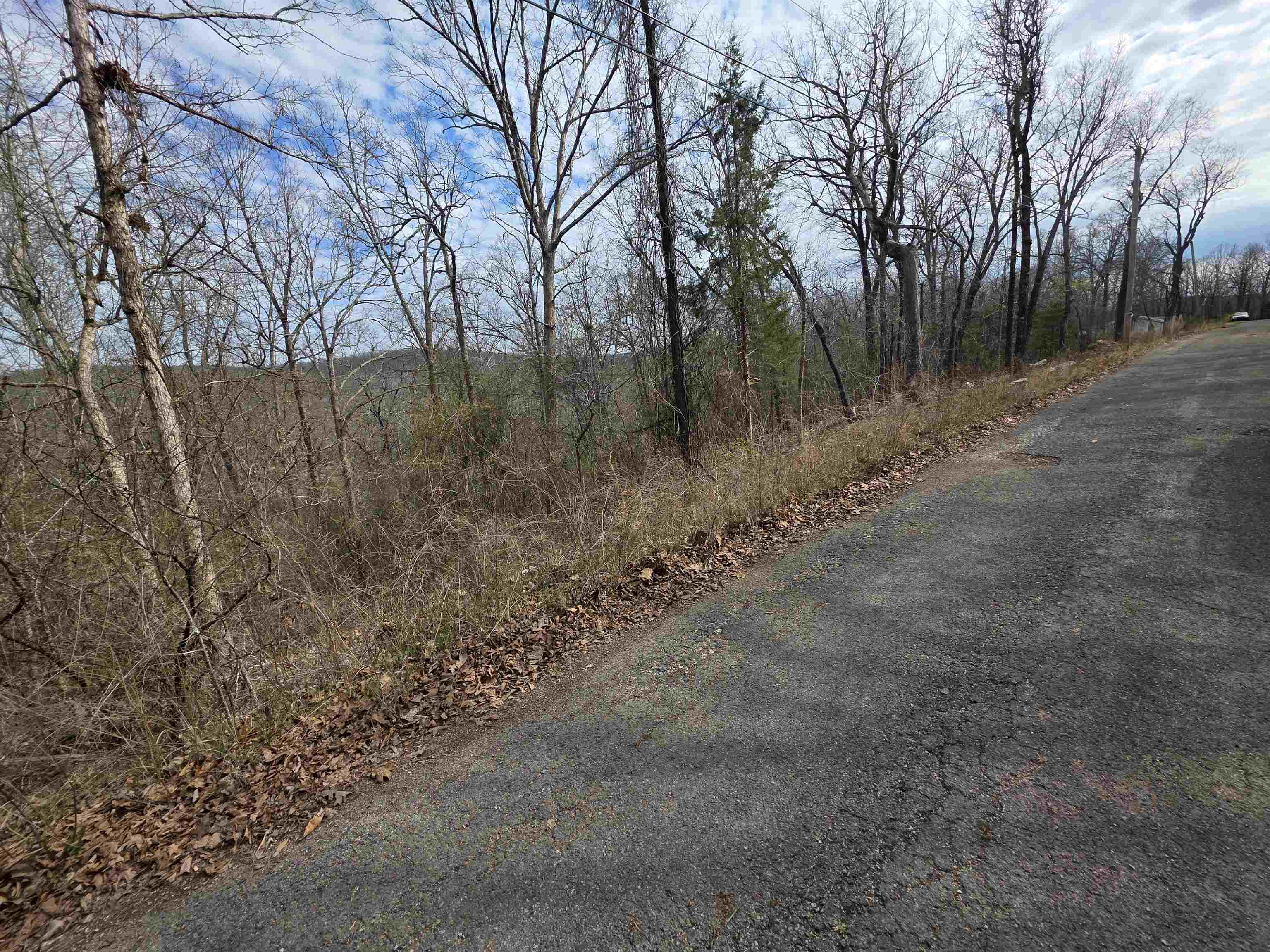 L-11, B-4 Will Scarlet Drive Property Photo 3