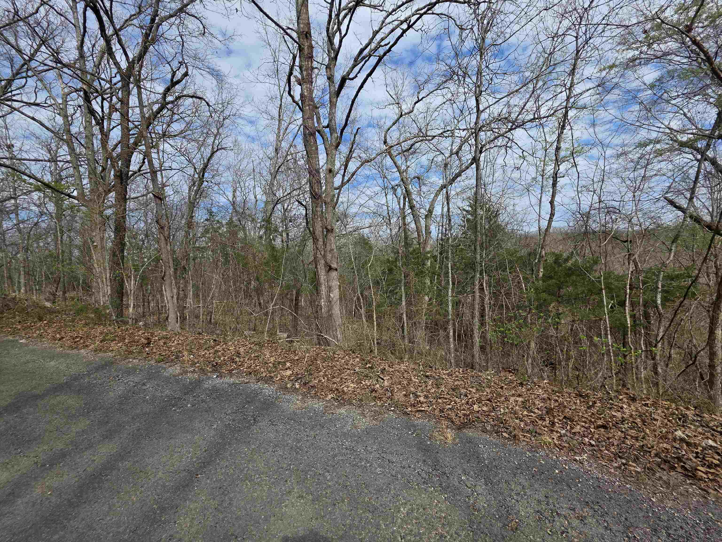 L-11, B-4 Will Scarlet Drive Property Photo 4