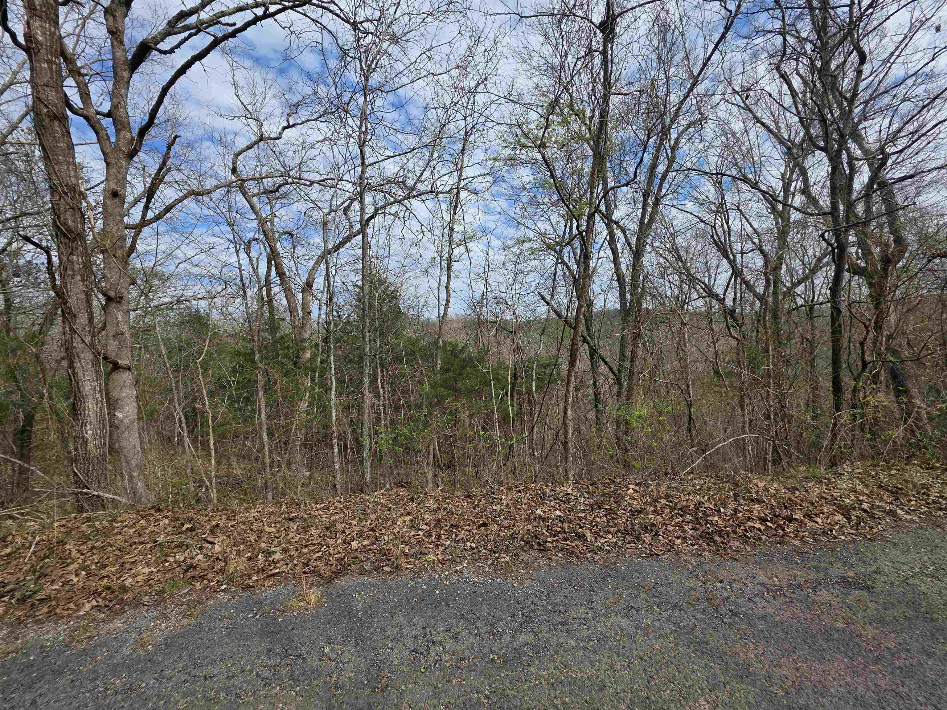 L-11, B-4 Will Scarlet Drive Property Photo 5