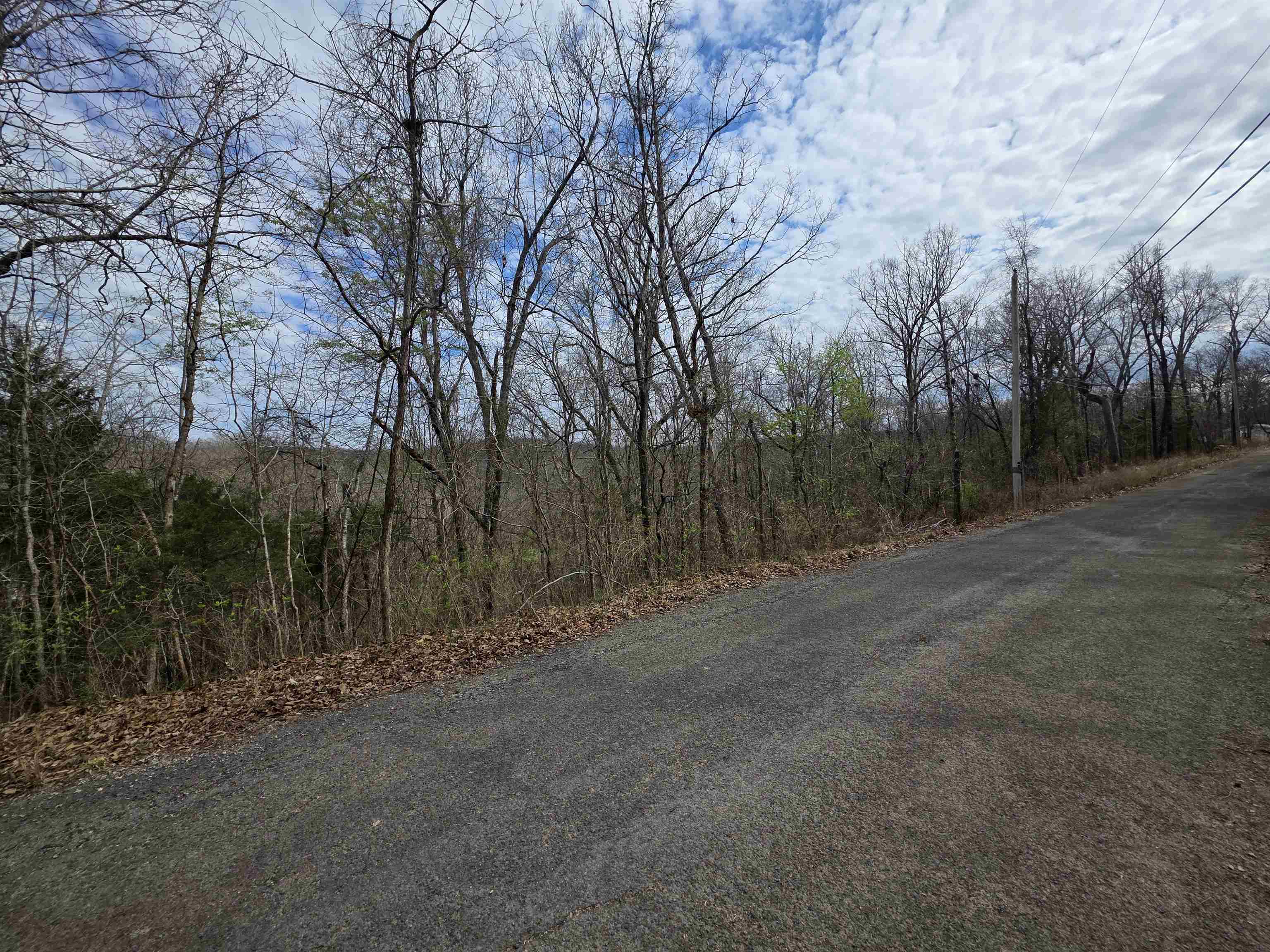 L-11, B-4 Will Scarlet Drive Property Photo 6