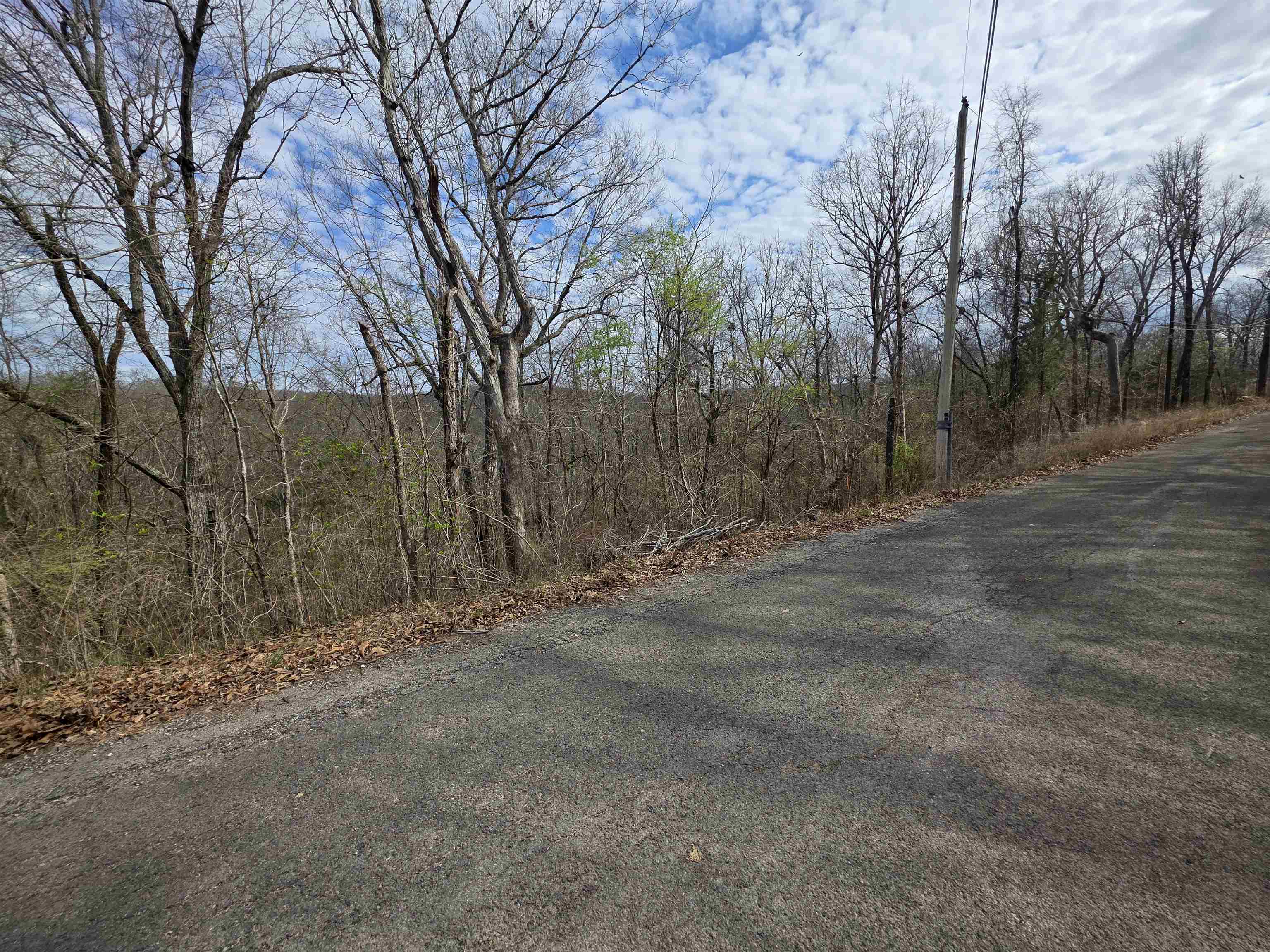L-11, B-4 Will Scarlet Drive Property Photo 9