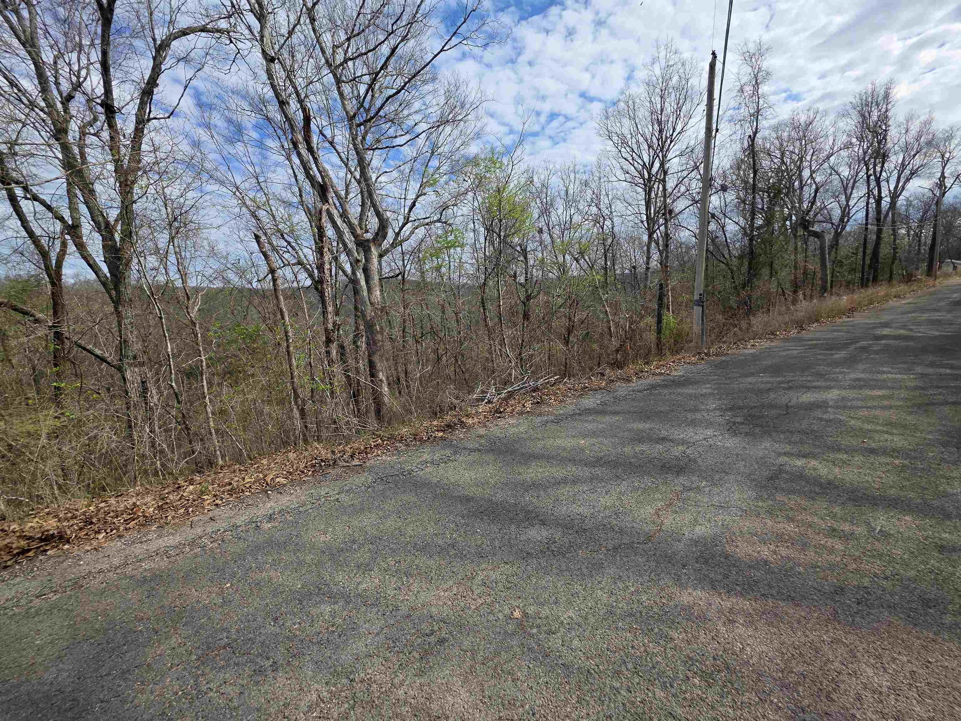 L-11, B-4 Will Scarlet Drive Property Photo 10